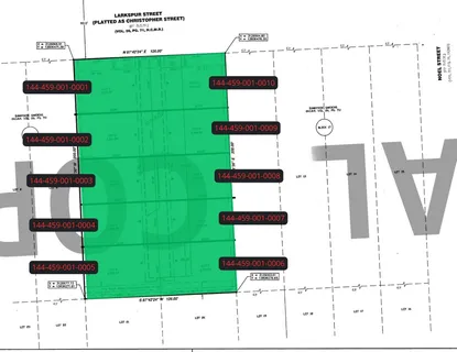 a view of a yard with a plants and trees in the background