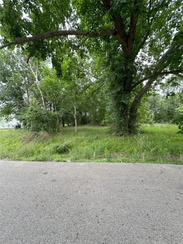 a view of a field of grass and trees