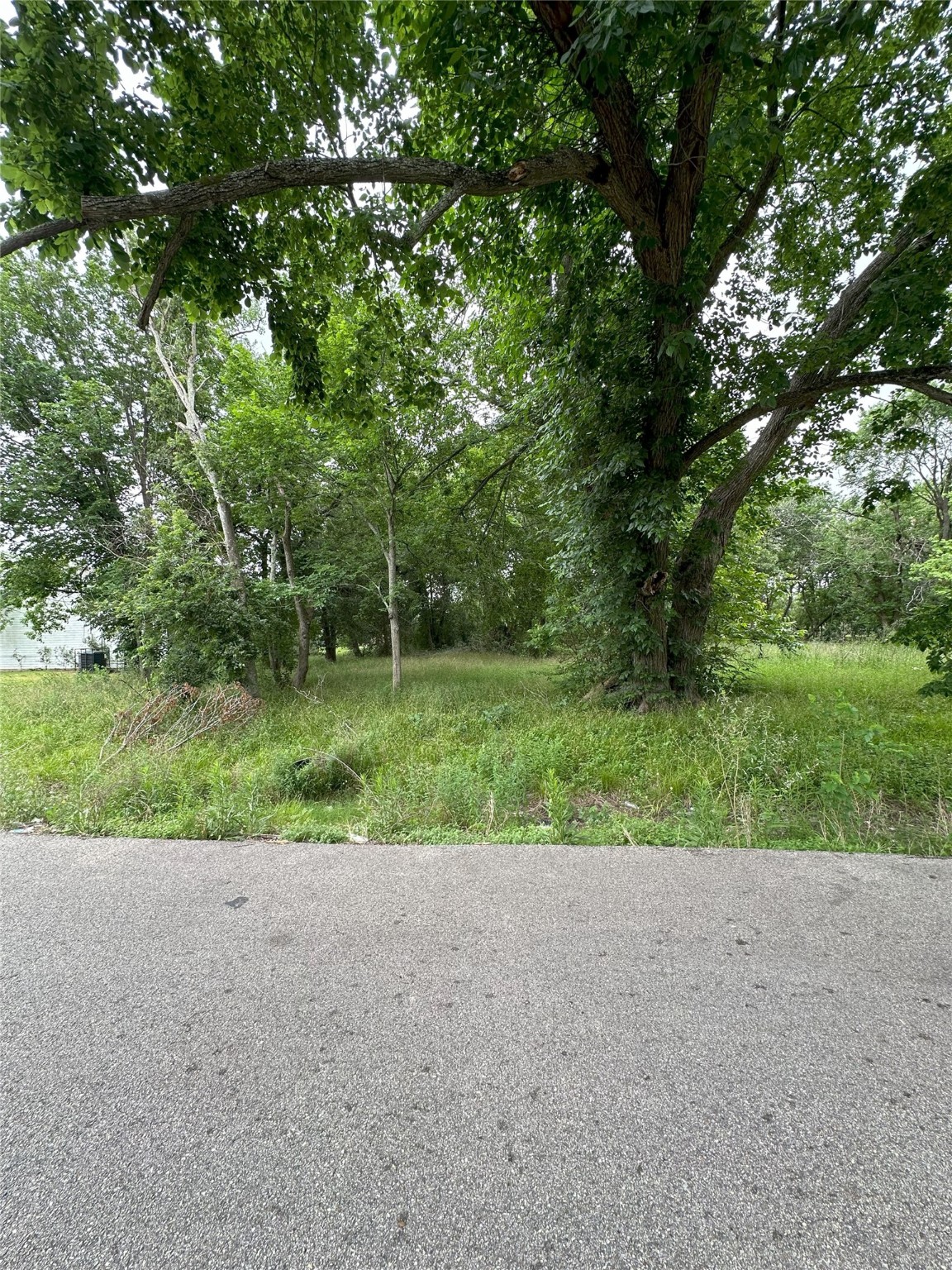 0 Larkspur Street Houston, TX 77033 - Photo 6 of 11 a view of outdoor space and yard