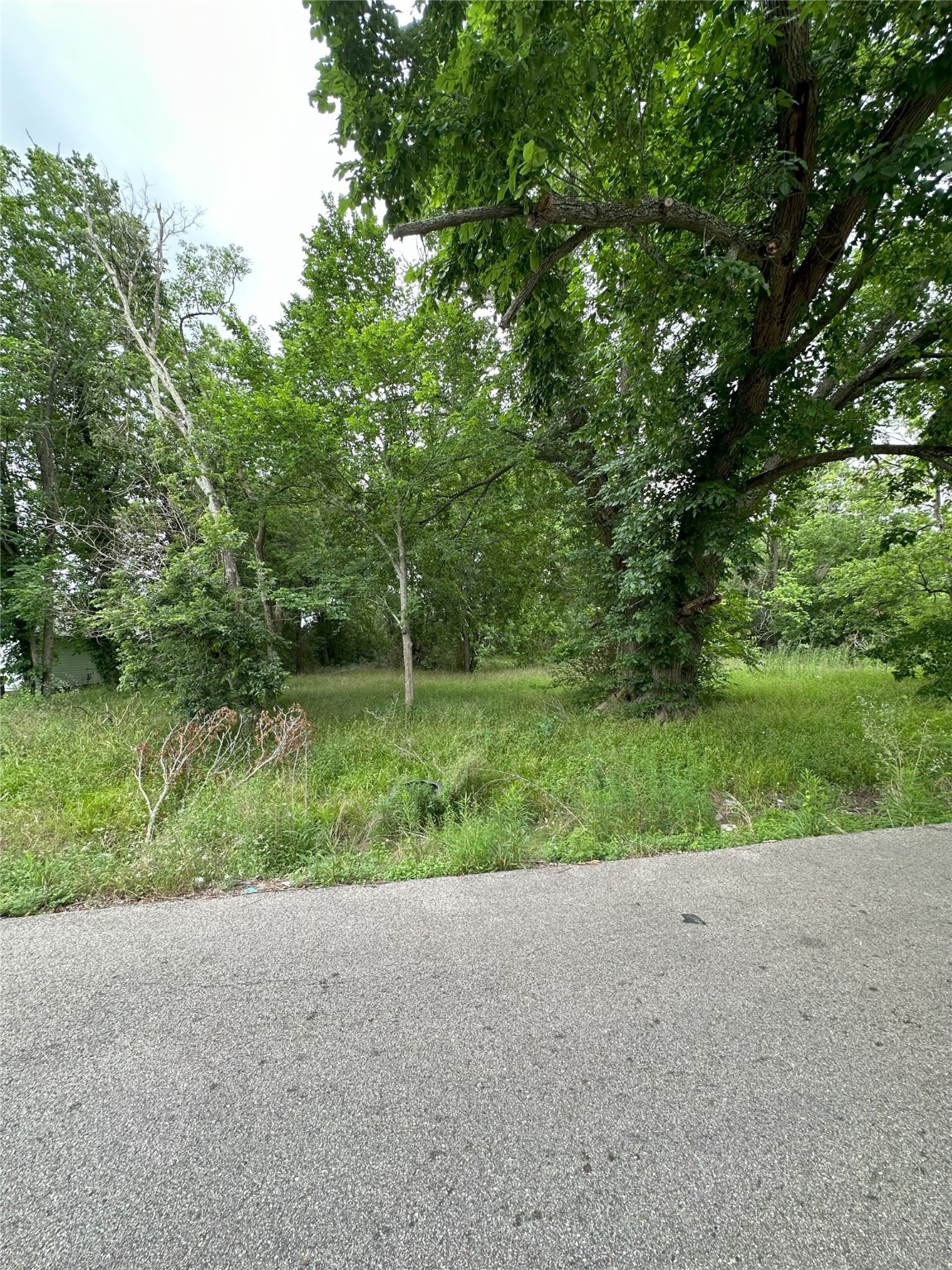 0 Larkspur Street Houston, TX 77033 - Photo 7 of 11 a view of outdoor space and yard