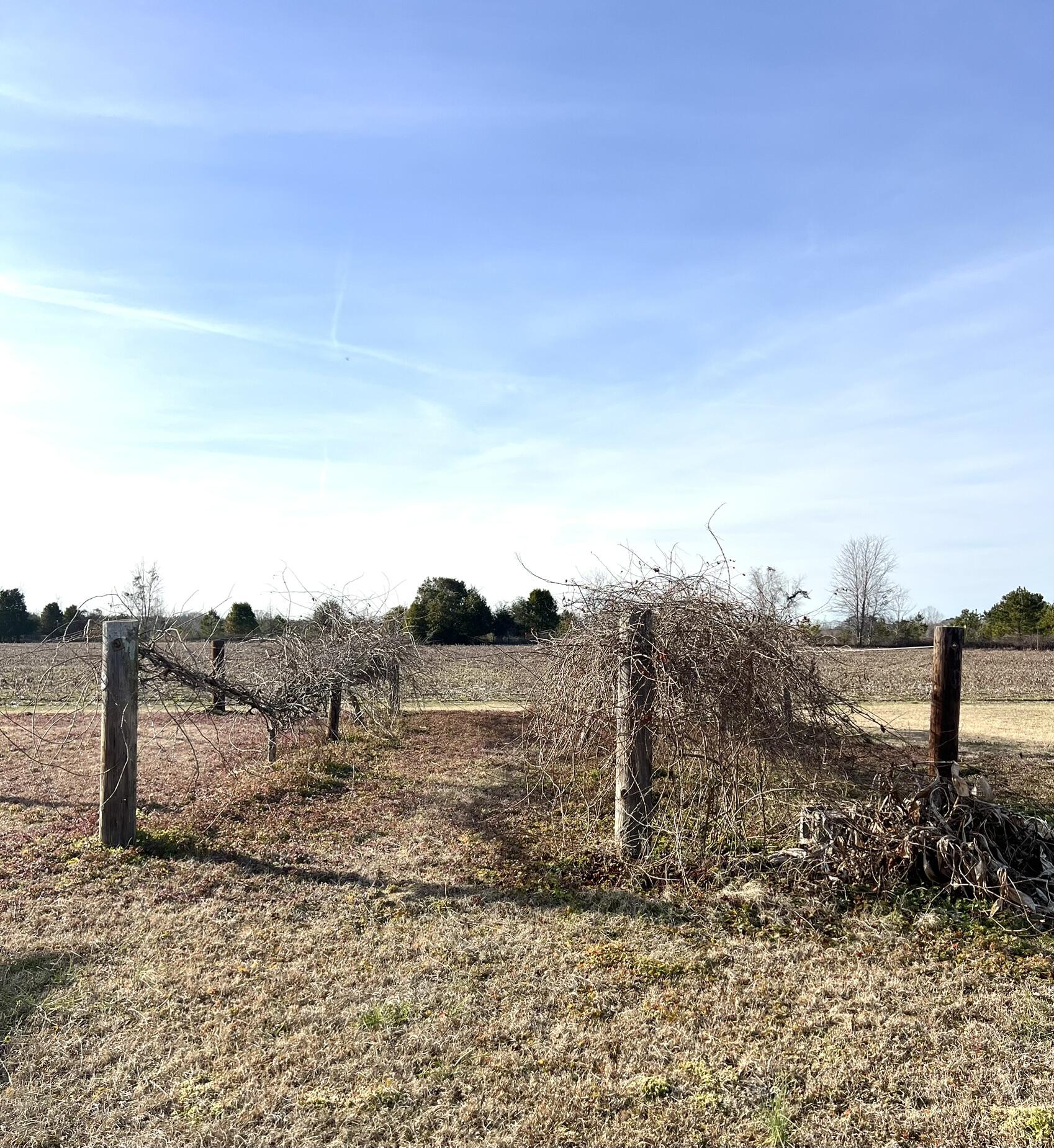 298 Blewer Road Cordova, SC 29039 - Photo 23 of 26 FullSizeRender (7)