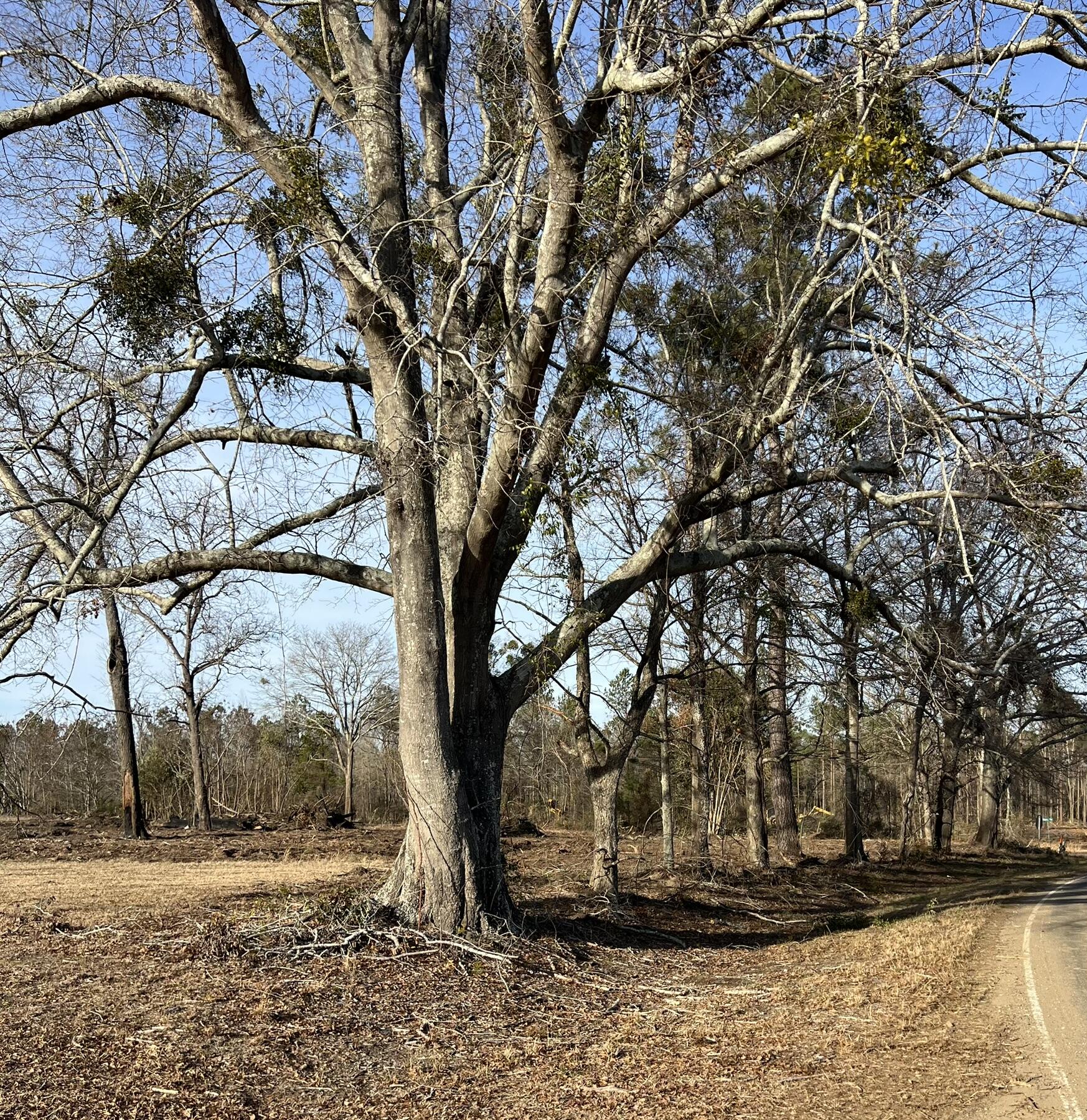 298 Blewer Road Cordova, SC 29039 - Photo 25 of 26 FullSizeRender (14)
