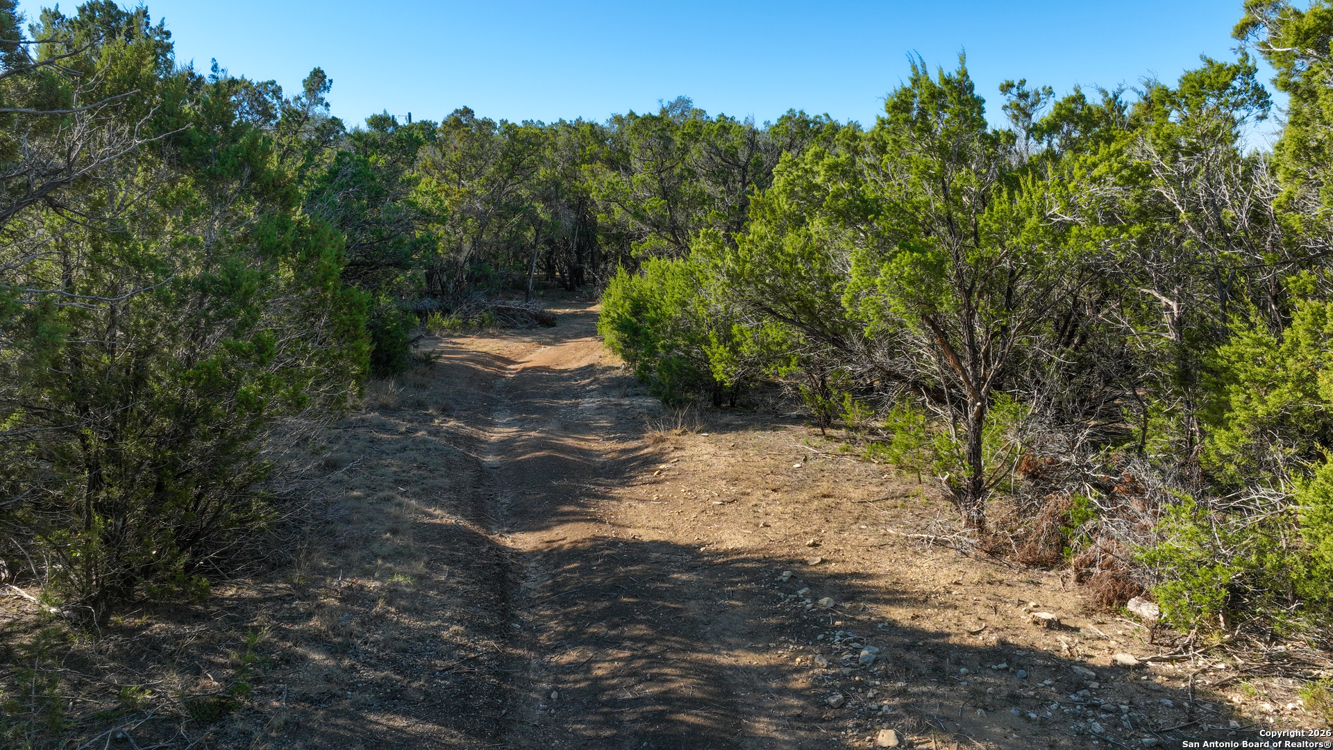 1515 Old Boerne Road Bulverde, TX 78163 - Photo 13 of 21 a view of a yard with plants and a trees