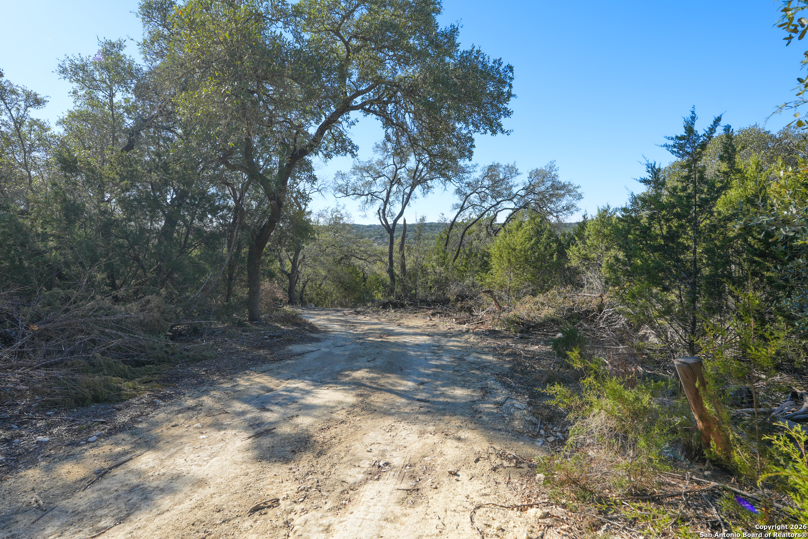 1515 Old Boerne Road Bulverde, TX 78163 - Photo 15 of 21 a view of a yard with trees