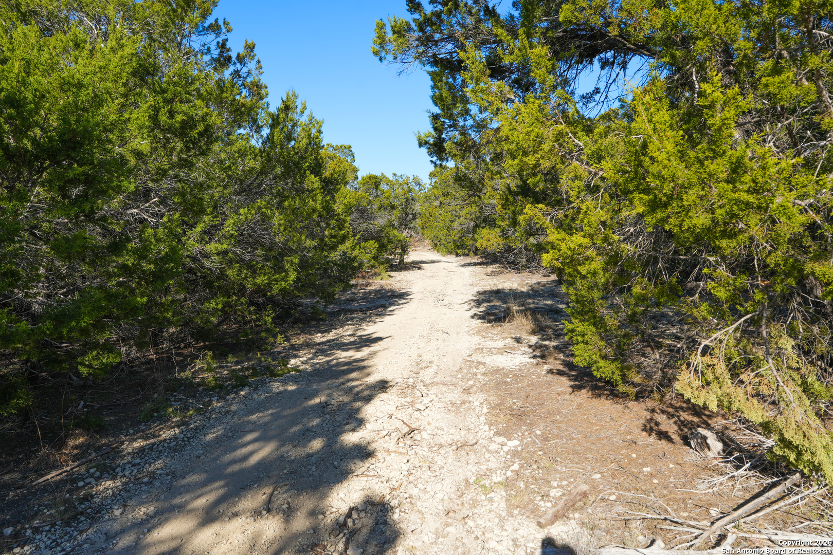 1515 Old Boerne Road Bulverde, TX 78163 - Photo 17 of 21 a view of a pathway with a tree