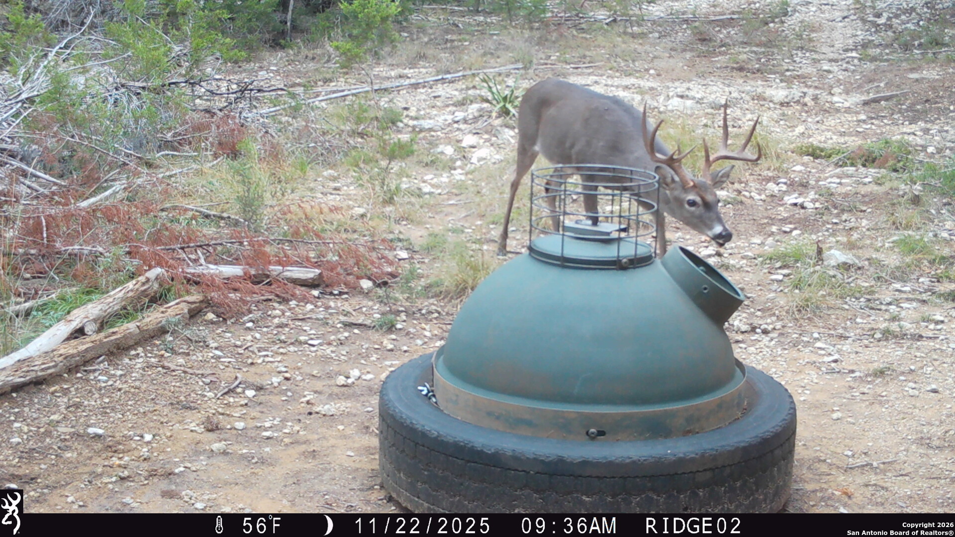 1515 Old Boerne Road Bulverde, TX 78163 - Photo 19 of 21 a view of a wooden floor