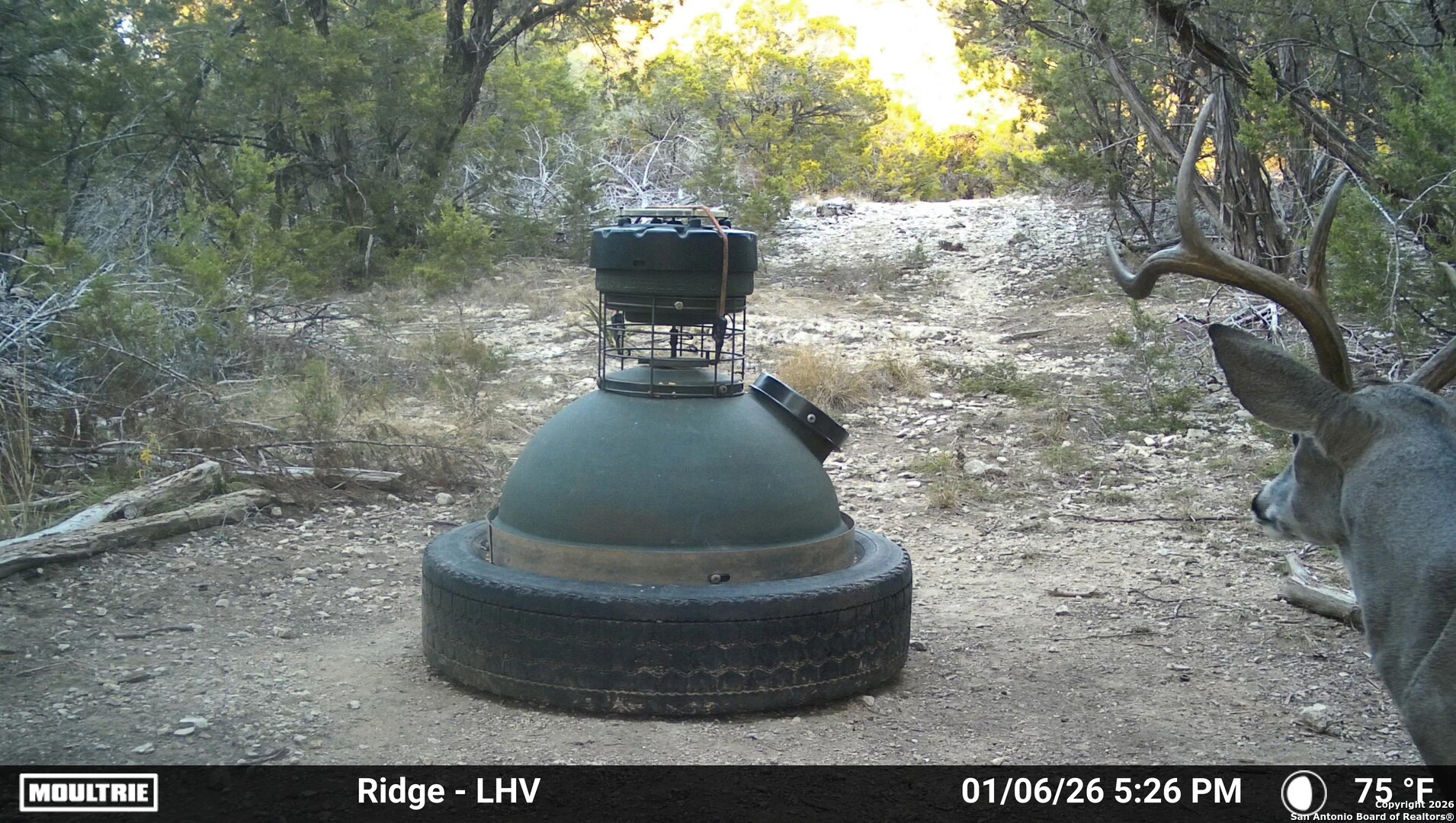 1515 Old Boerne Road Bulverde, TX 78163 - Photo 20 of 21 a view of a water fountain