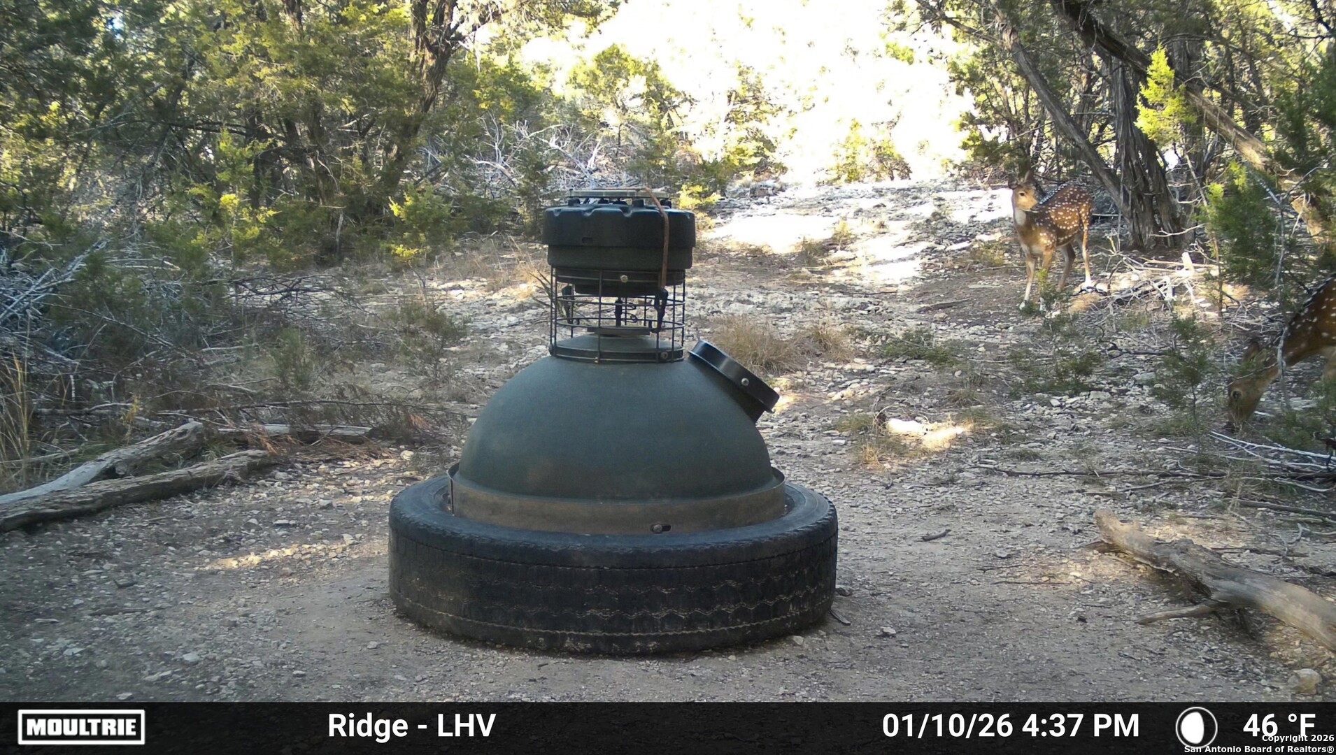 1515 Old Boerne Road Bulverde, TX 78163 - Photo 21 of 21 a view of outdoor space