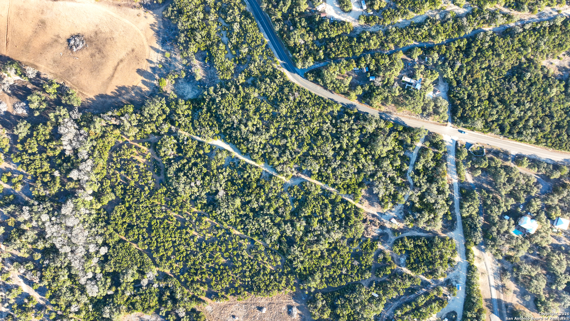 1515 Old Boerne Road Bulverde, TX 78163 - Photo 4 of 21 a close up of a tree