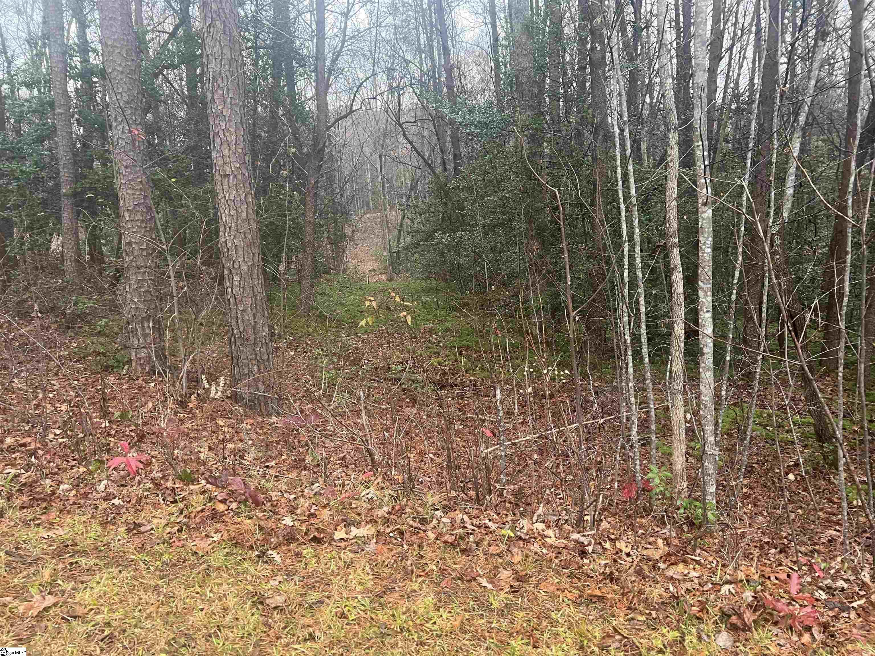 11 Table Rock Road Cleveland, SC 29635 - Photo 1 of 9