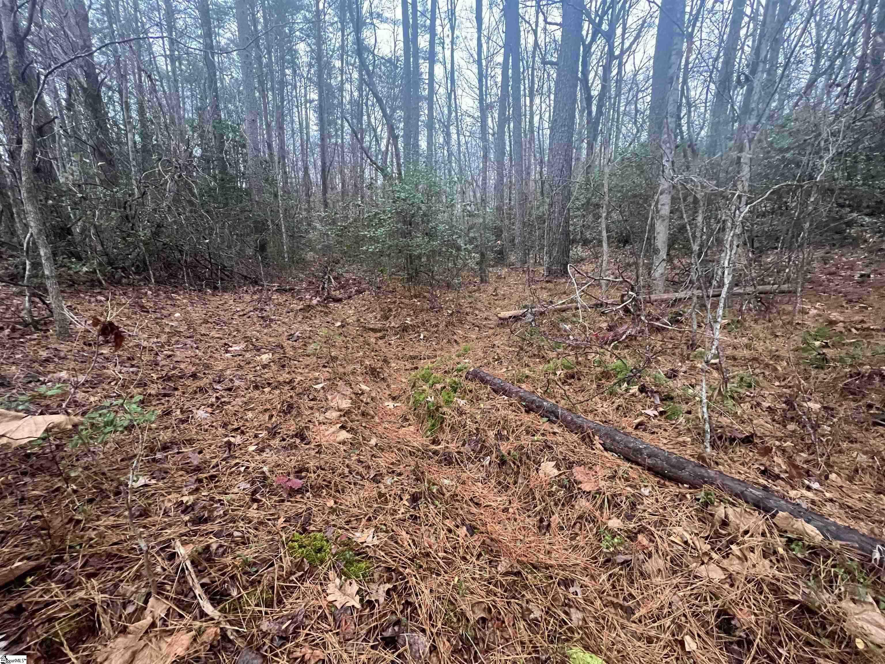 11 Table Rock Road Cleveland, SC 29635 - Photo 2 of 9