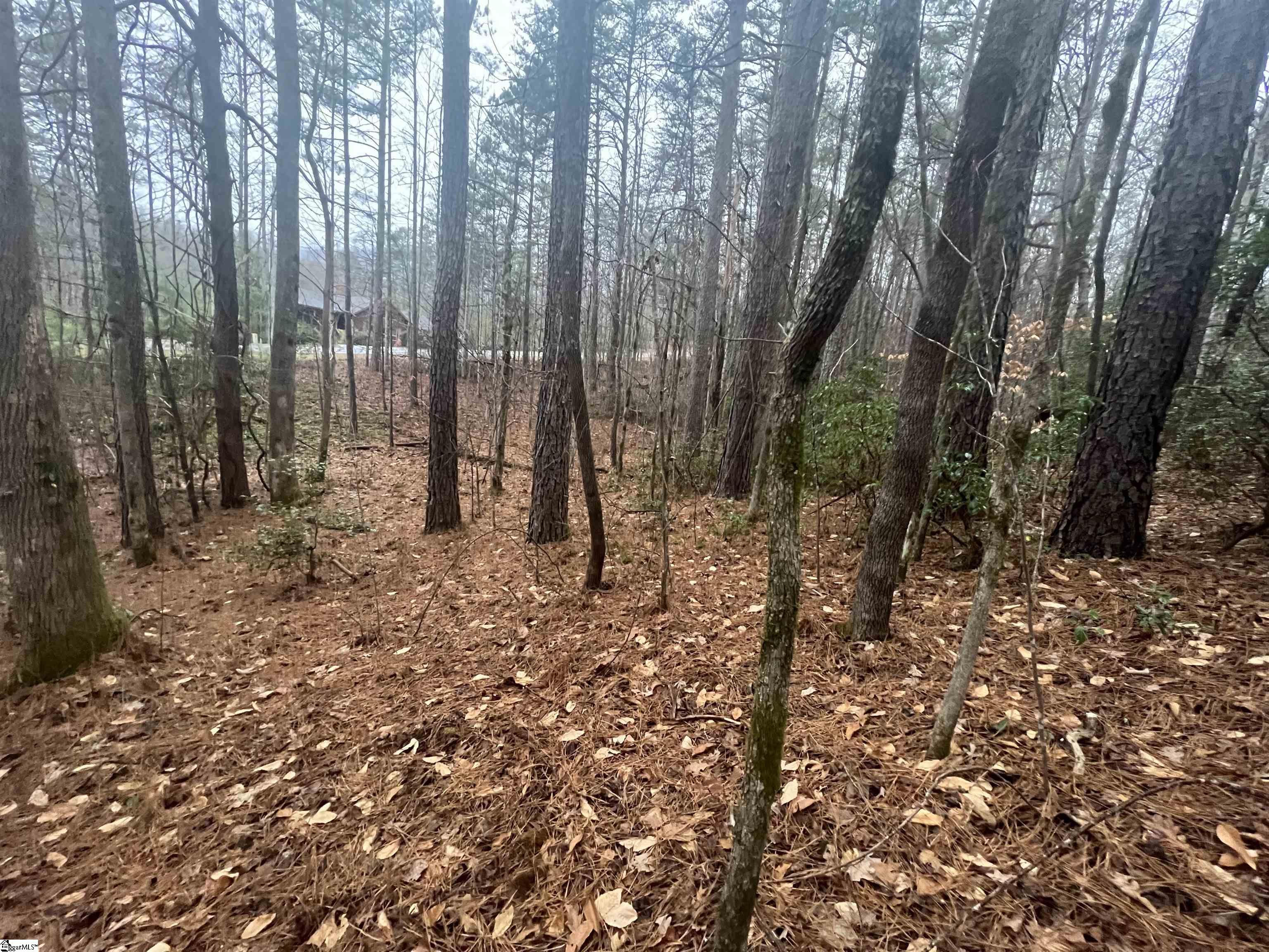 11 Table Rock Road Cleveland, SC 29635 - Photo 3 of 9