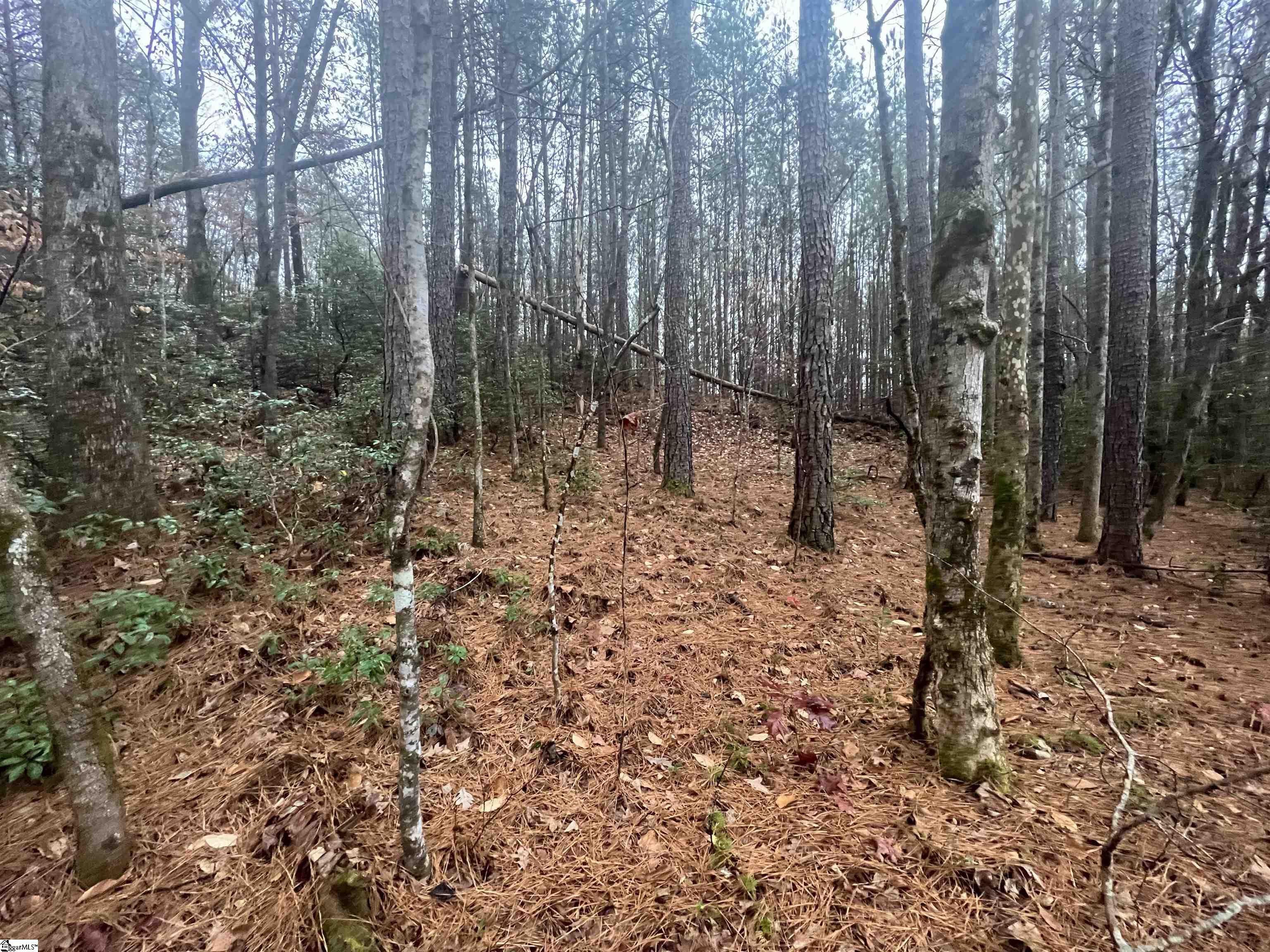 11 Table Rock Road Cleveland, SC 29635 - Photo 4 of 9