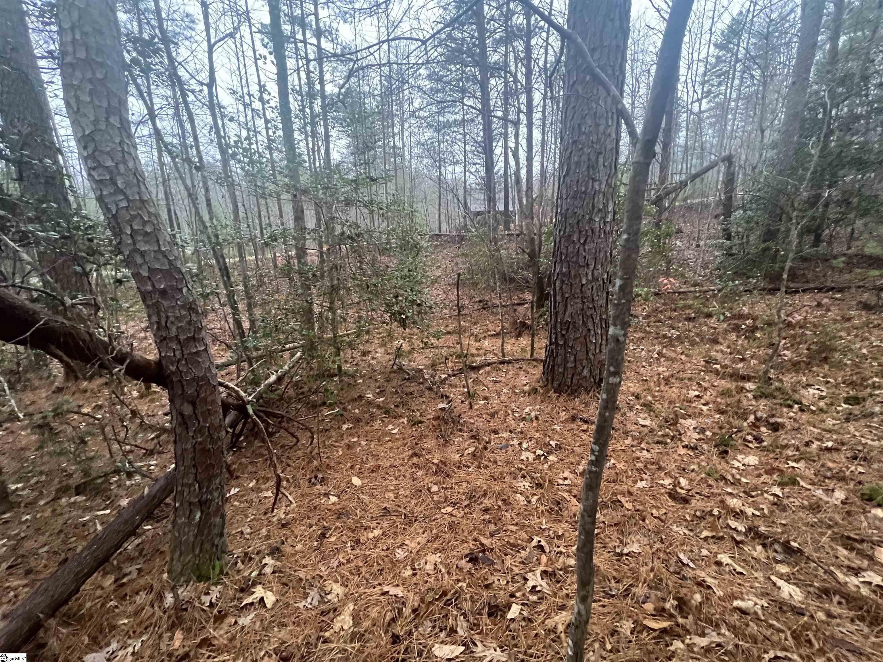 11 Table Rock Road Cleveland, SC 29635 - Photo 5 of 9