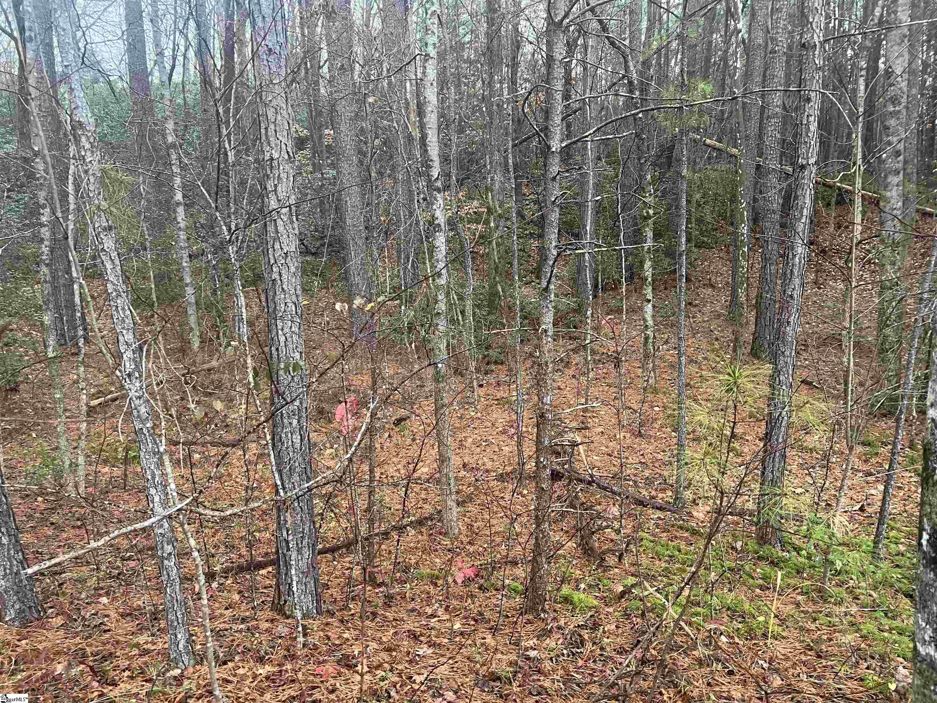 11 Table Rock Road Cleveland, SC 29635 - Photo 6 of 9