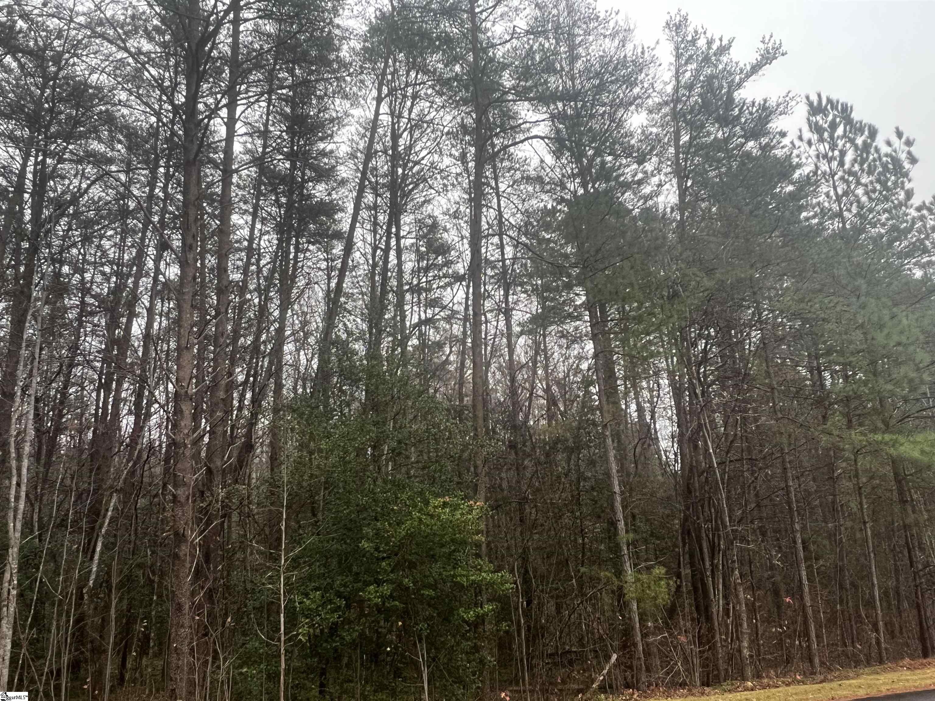 11 Table Rock Road Cleveland, SC 29635 - Photo 7 of 9