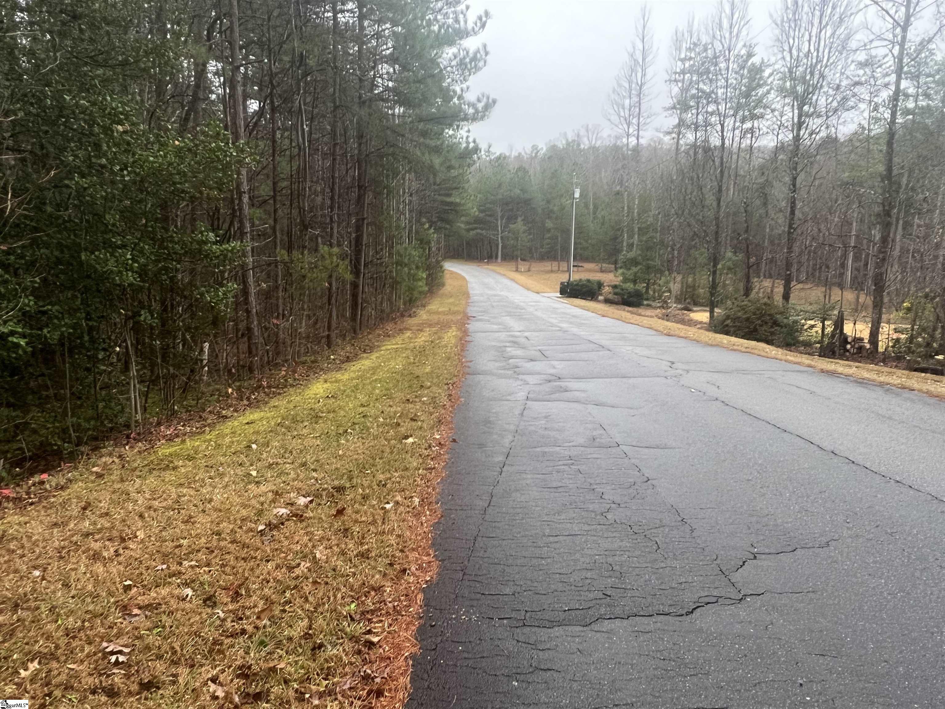 11 Table Rock Road Cleveland, SC 29635 - Photo 8 of 9