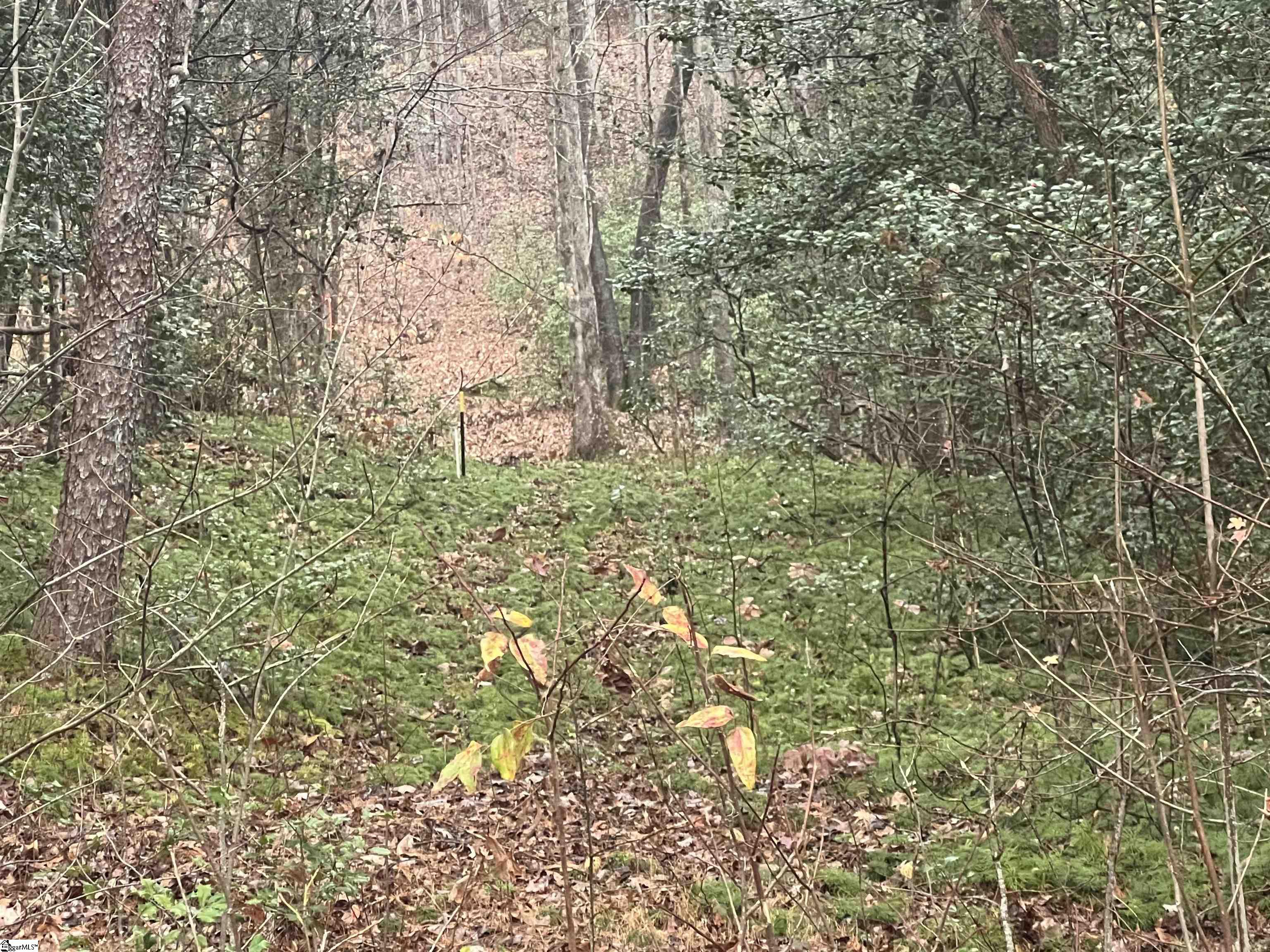 11 Table Rock Road Cleveland, SC 29635 - Photo 9 of 9