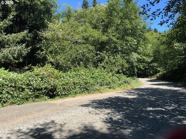 0 Ashley Road Coos Bay, OR 97420 - Photo 1 of 2 Gallery Image 1