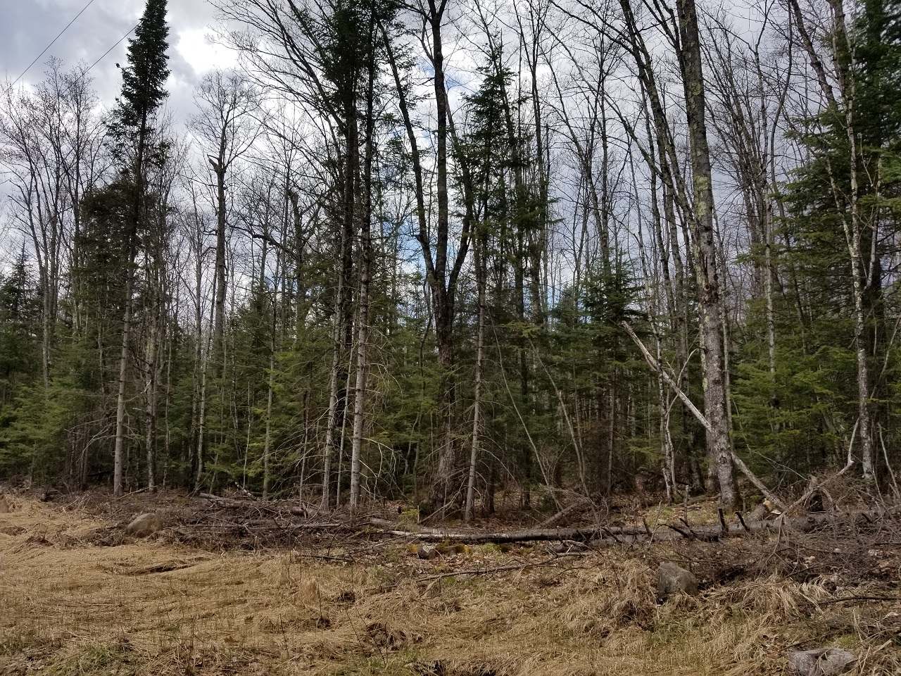 Lot 4 John Dul Road Mercer, WI 54547 - Photo 10 of 30 Gallery Image 10