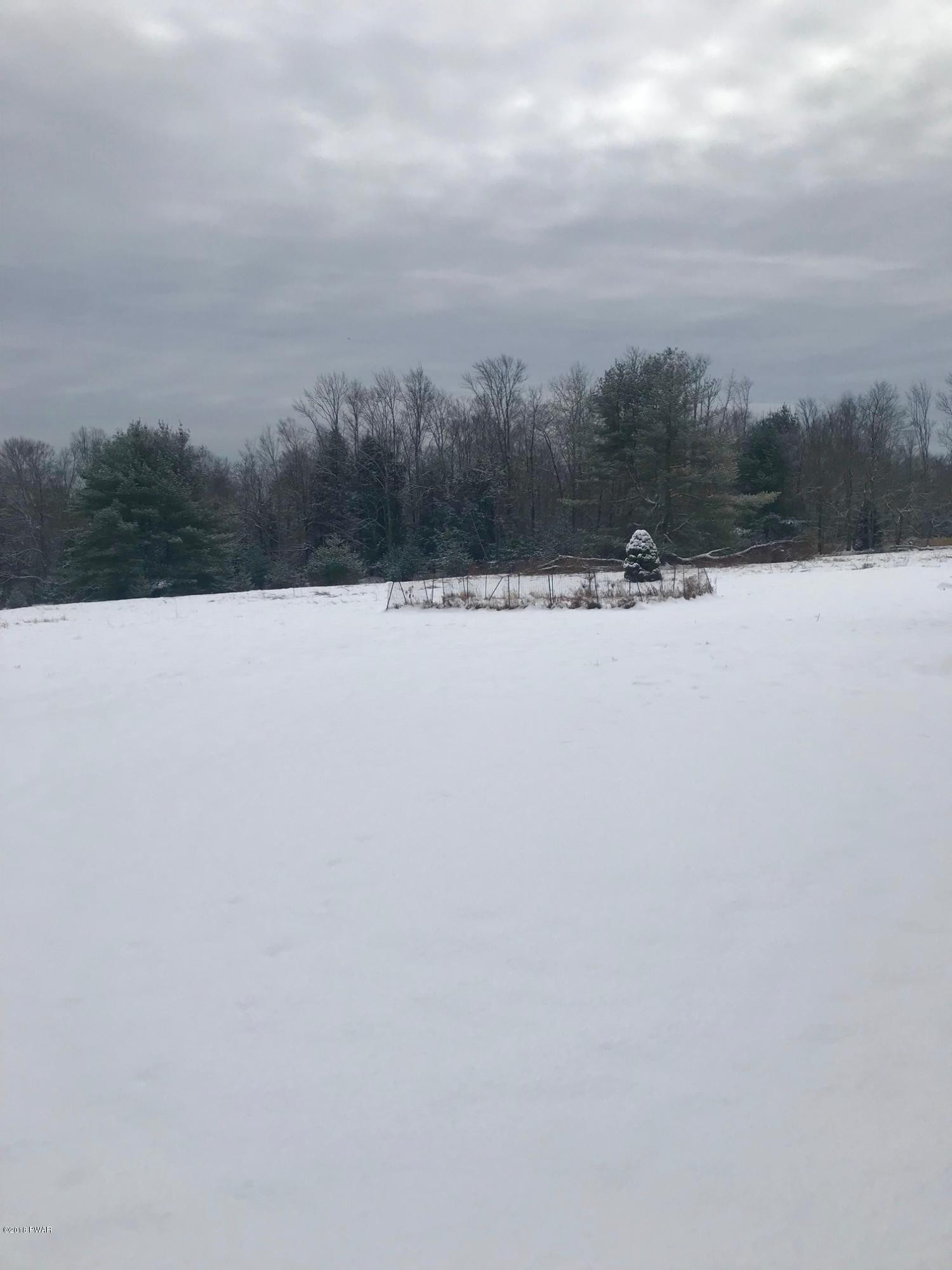 120 Atco Road Beach Lake, PA 18405 - Photo 22 of 25 Fields
