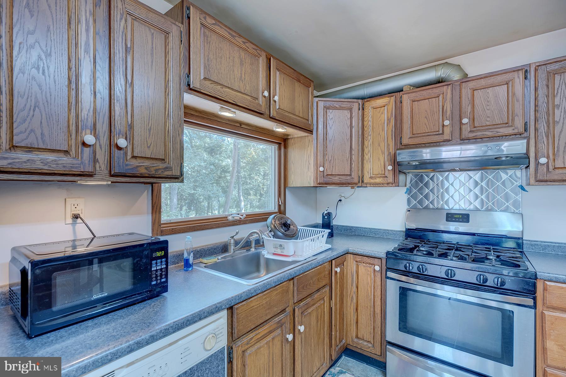 20152 Gum Island Road Georgetown, DE 19947 - Photo 2 of 58 Gallery Image 2