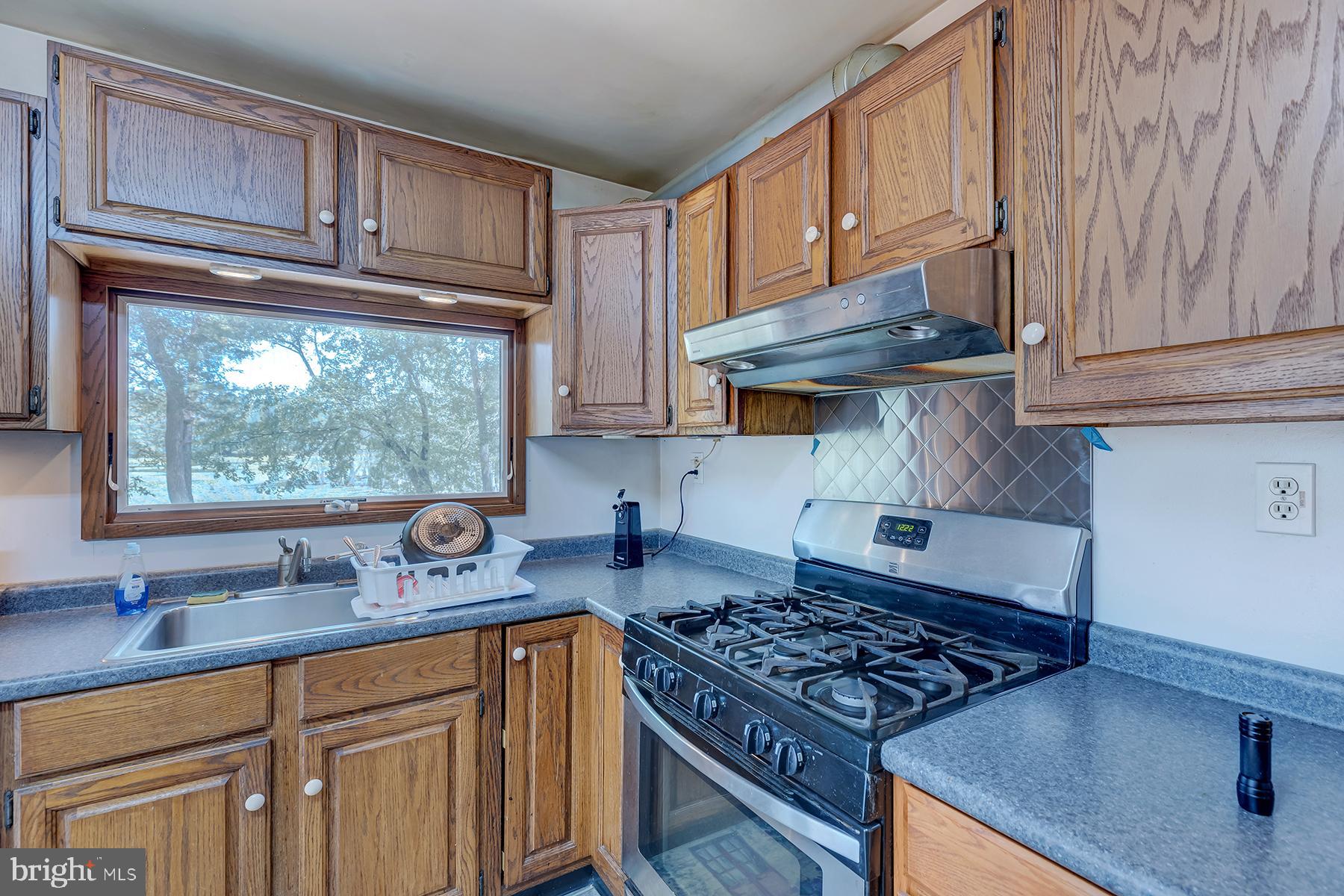 20152 Gum Island Road Georgetown, DE 19947 - Photo 3 of 58 Gallery Image 3