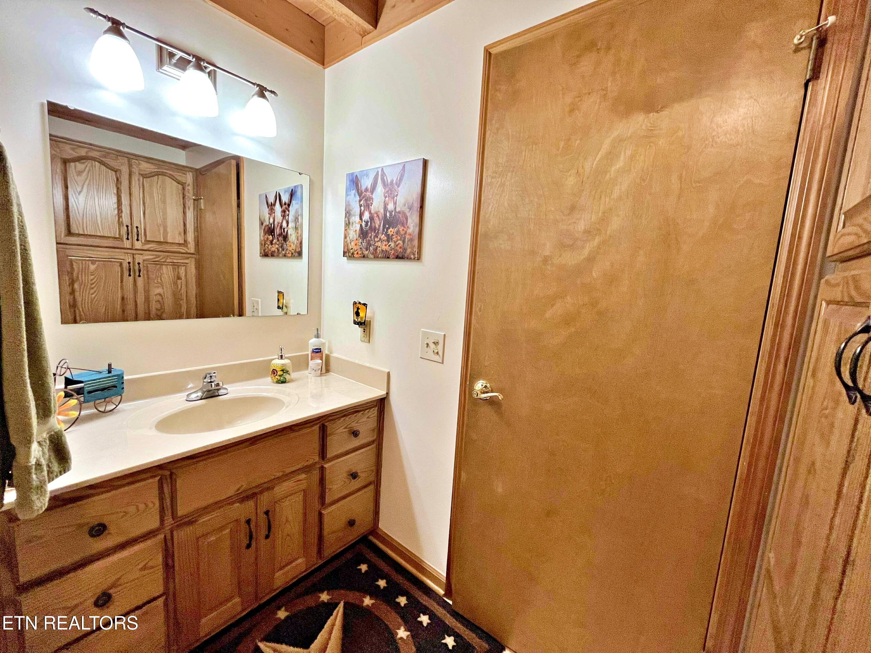 2340 Red Cloud Road Ten Mile, TN 37880 - Photo 54 of 60 d4fce62e-2a4f-4568-a01e-cfddf6a9fb7a