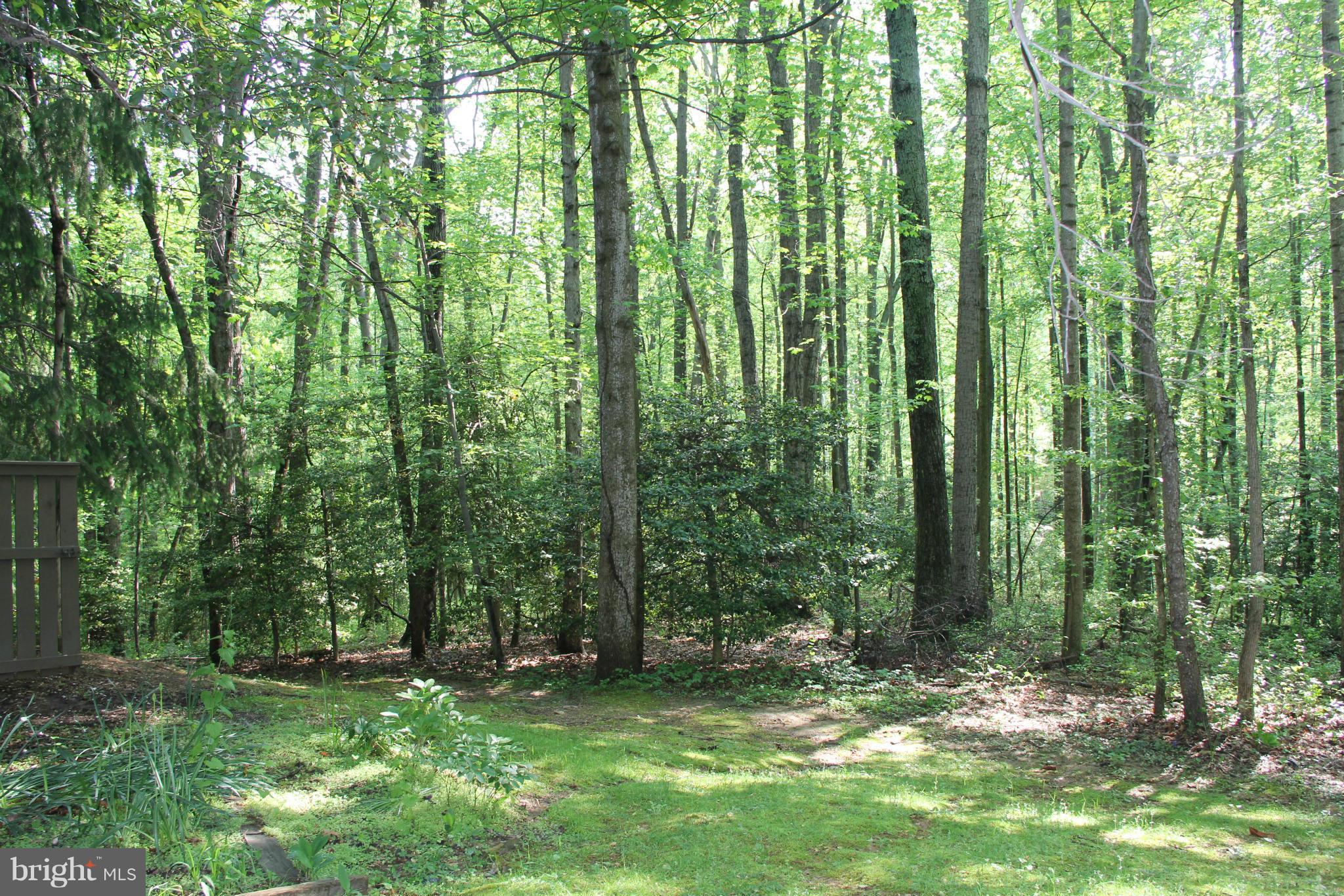 11724 Decade Court Reston, VA 20191 - Photo 28 of 28 View