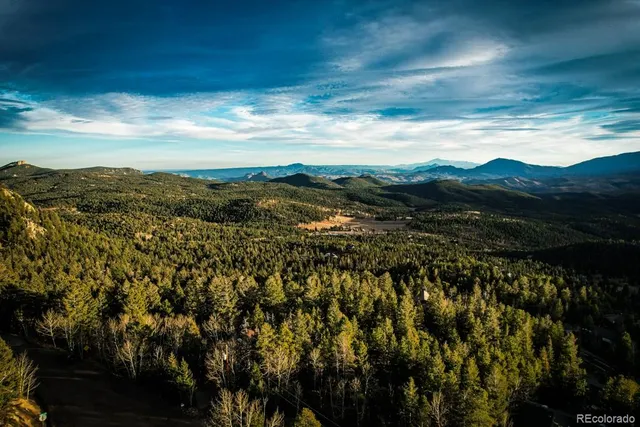 a view of a city with lush green forest