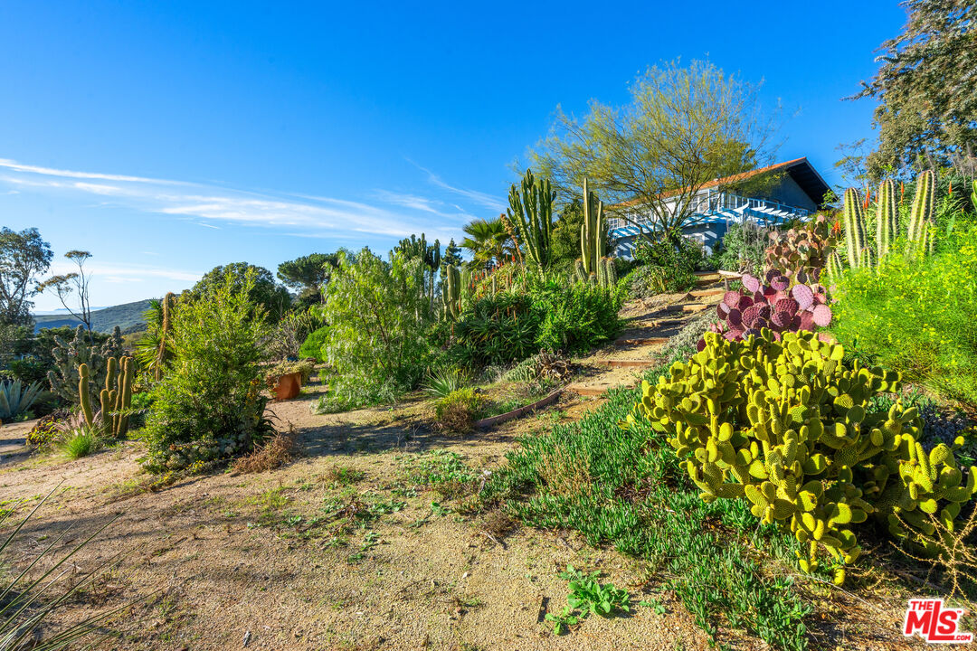 9402 Houston Road Malibu, CA 90265 - Photo 15 of 30 a view of a garden with plants and a building