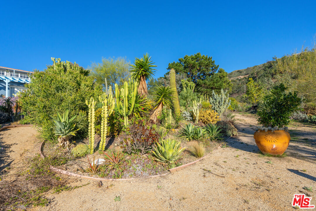 9402 Houston Road Malibu, CA 90265 - Photo 16 of 30 a view of a backyard of the house