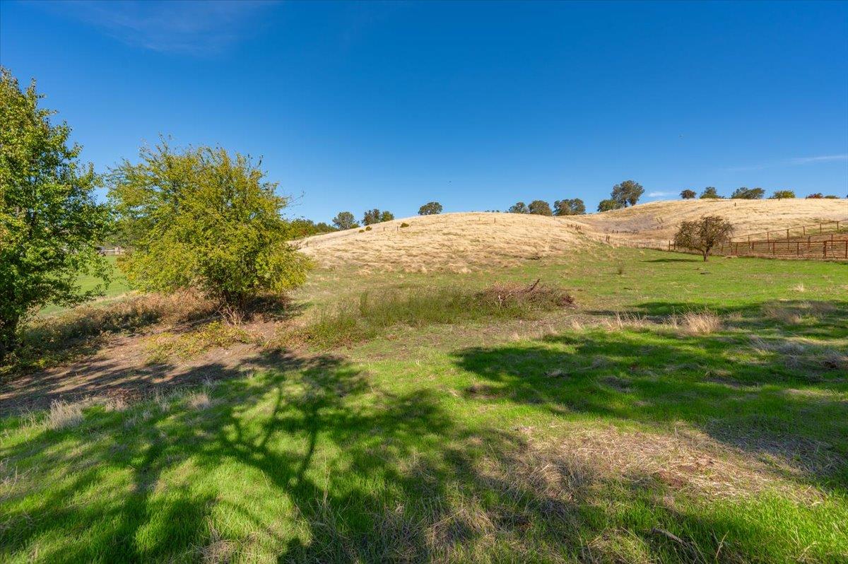0 Garden Bar Road Lincoln, CA 95648 - Photo 5 of 21 a view of a large yard with lots of green space