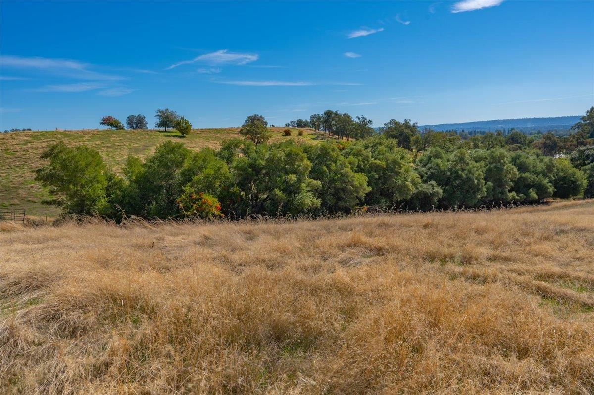 0 Garden Bar Road Lincoln, CA 95648 - Photo 6 of 21 a view of a bunch of trees and bushes