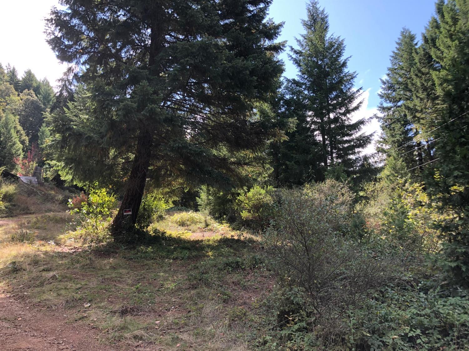 100 Forest Creek Road Selma, OR 97538 - Photo 14 of 14 Additional Photo