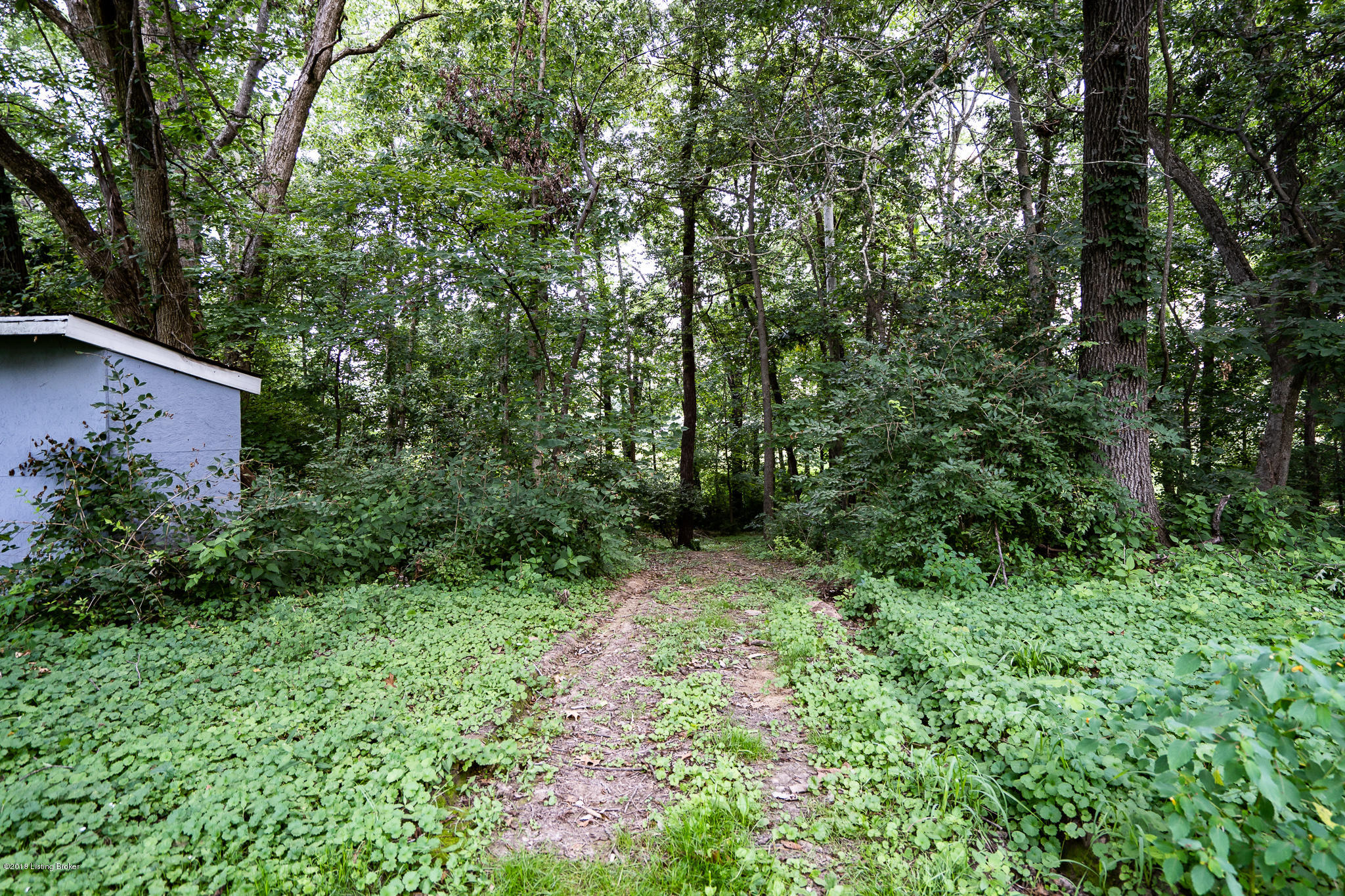 3525 Cedar Grove Road Shepherdsville, KY 40165 - Photo 52 of 61 DSC05758