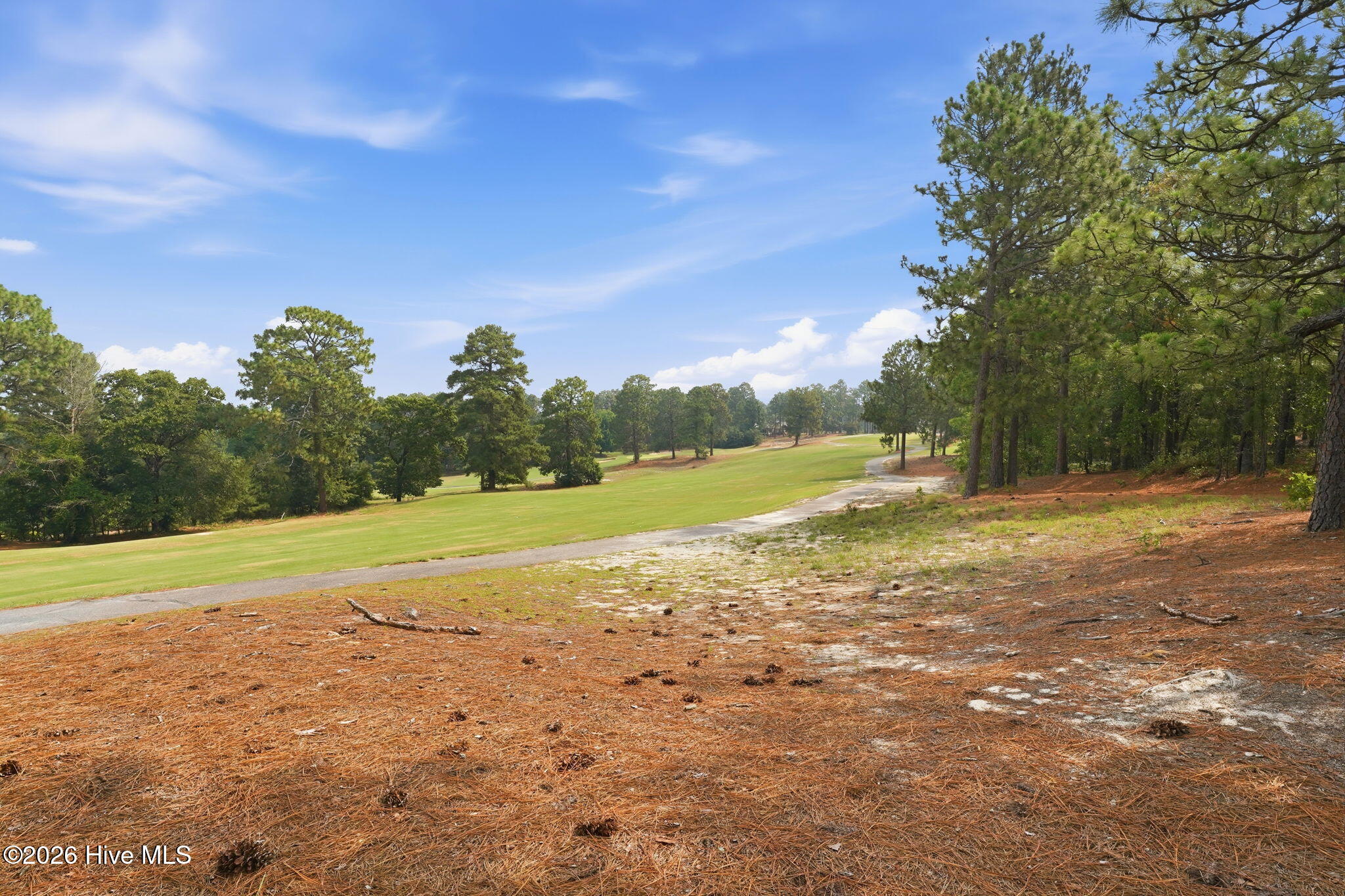 44 Richmond Road Jackson Springs, NC 27281 - Photo 18 of 24 Foxfire Golf Course fairway view from the backyard