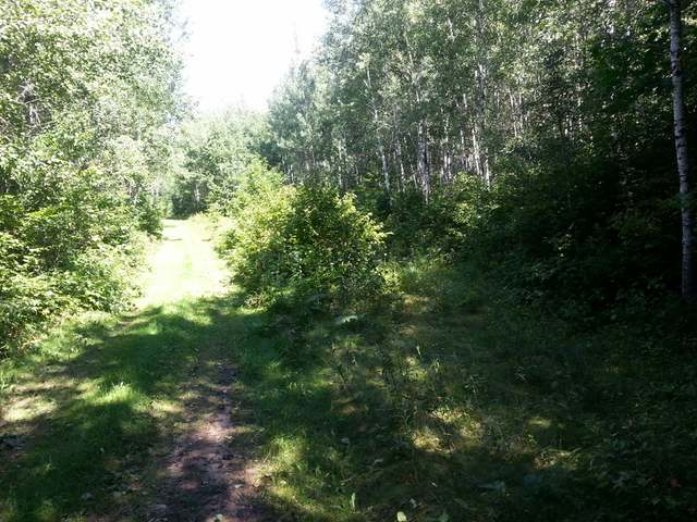 Off Buck Lane Harshaw, WI 54529 - Photo 20 of 20 Gallery Image 20