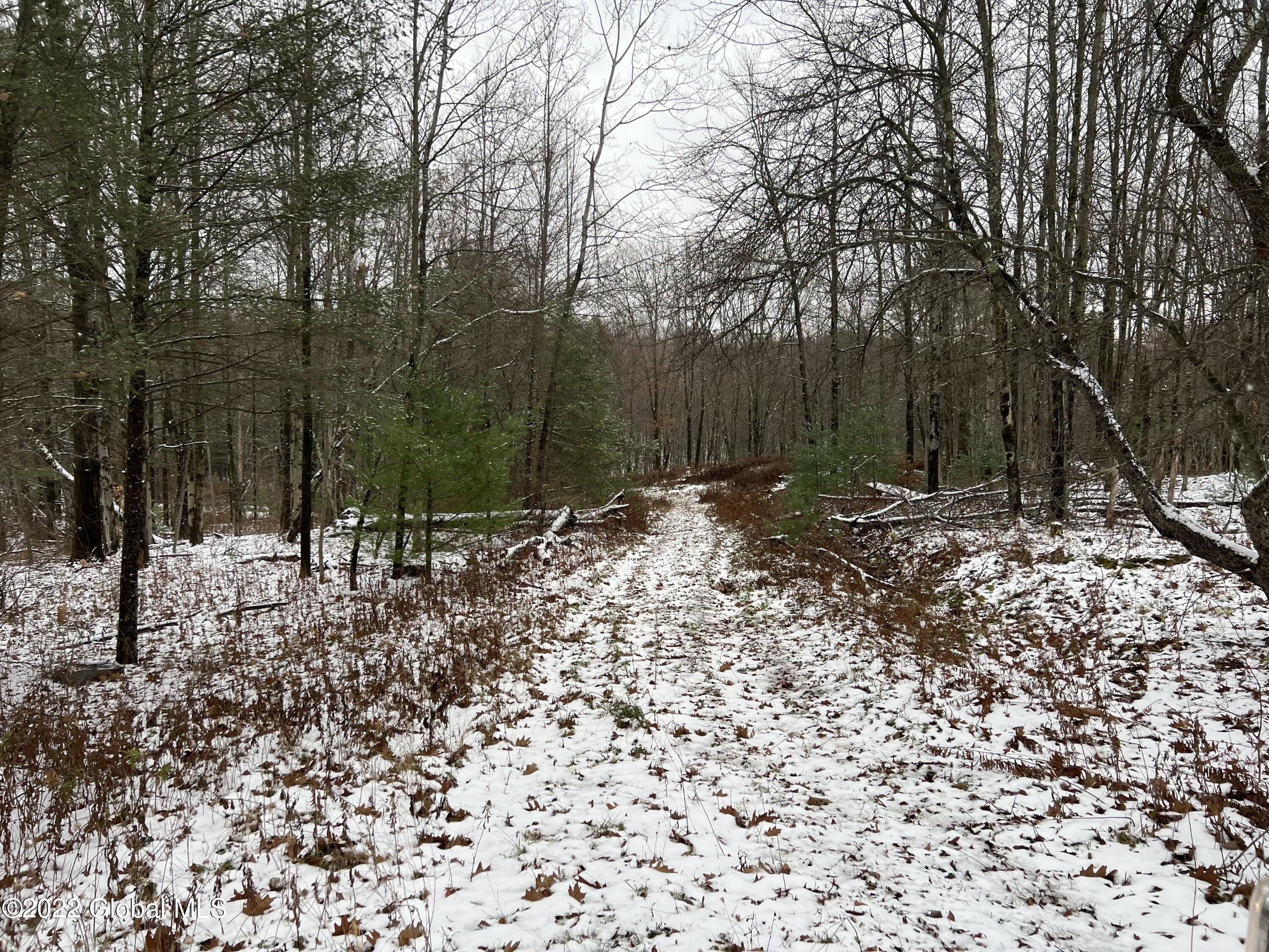 44 Blueberry Ridge Road Grafton, NY 12052 - Photo 3 of 6 6856C4C5-E741-4787-9A3B-5B8F249A8202