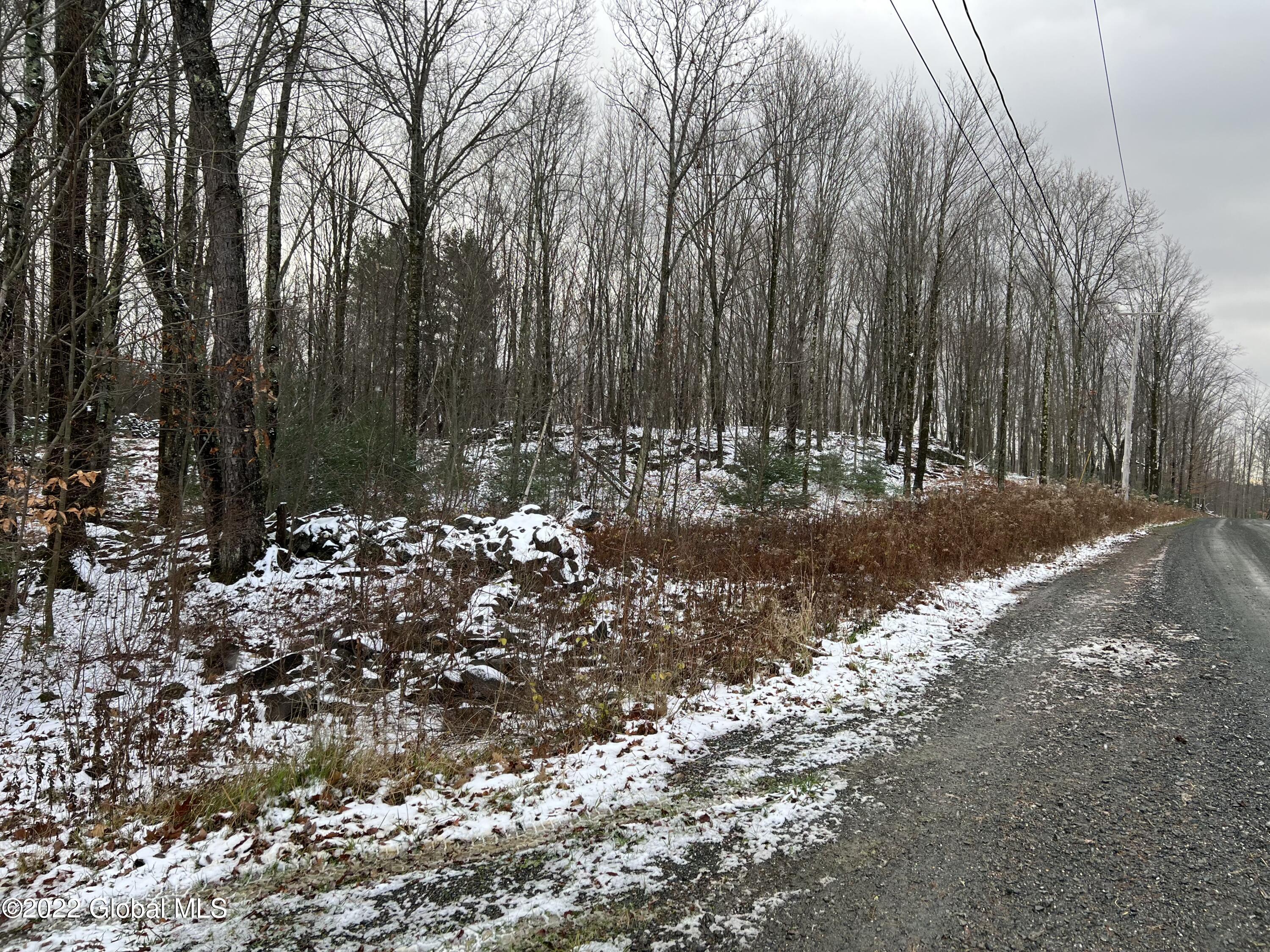 44 Blueberry Ridge Road Grafton, NY 12052 - Photo 4 of 6 D283A66E-2259-4C68-934A-6C060050B101
