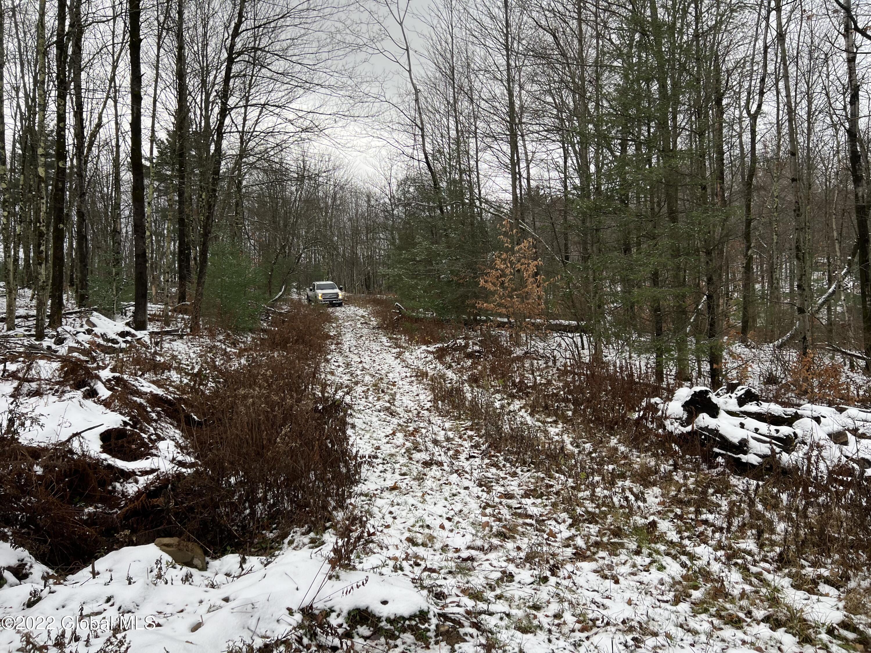 44 Blueberry Ridge Road Grafton, NY 12052 - Photo 5 of 6 B1B81AD3-886C-402A-9D34-885AD22D0660