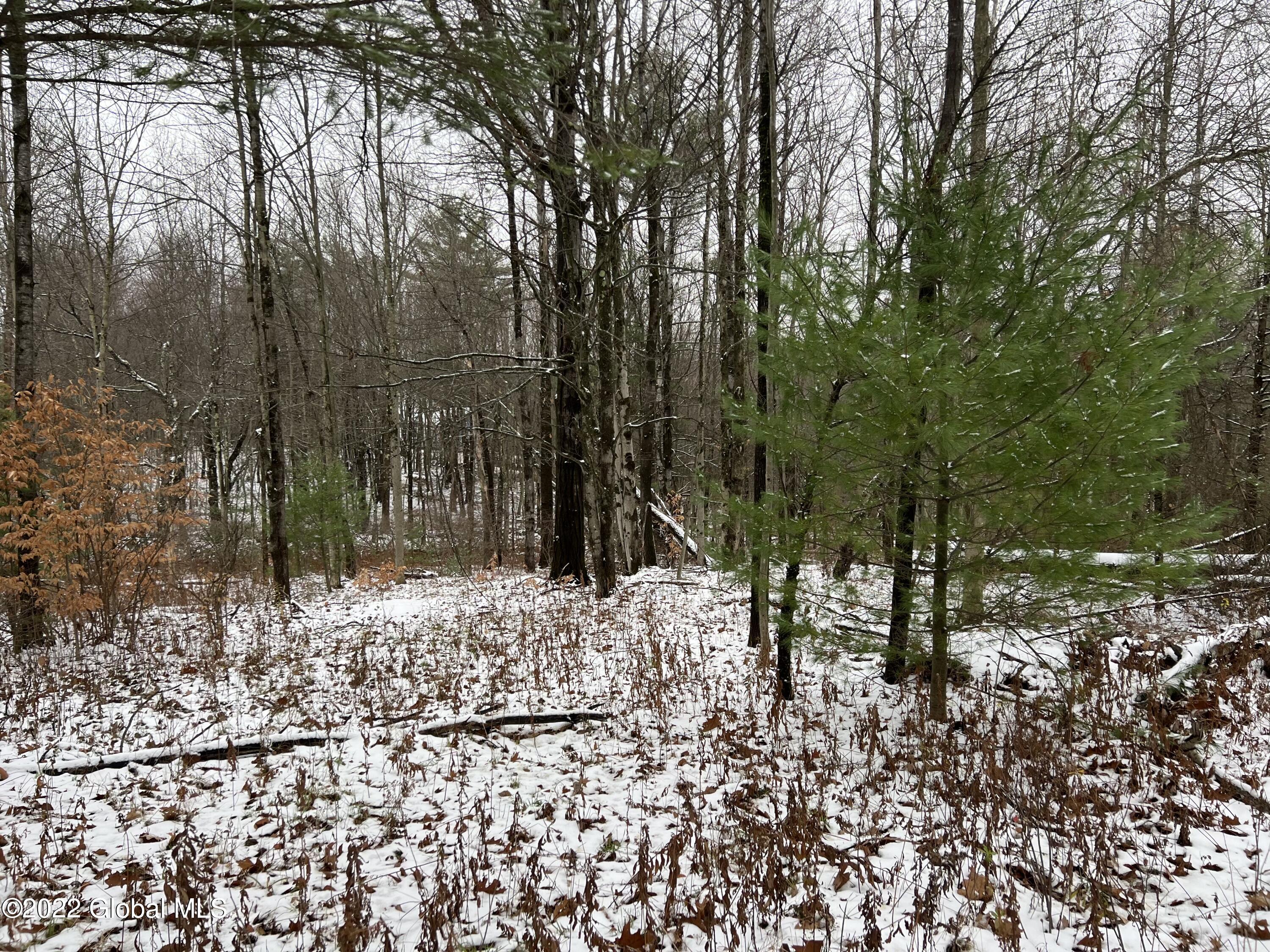 44 Blueberry Ridge Road Grafton, NY 12052 - Photo 6 of 6 BAD36106-5D9D-493A-A174-B327841BA70A