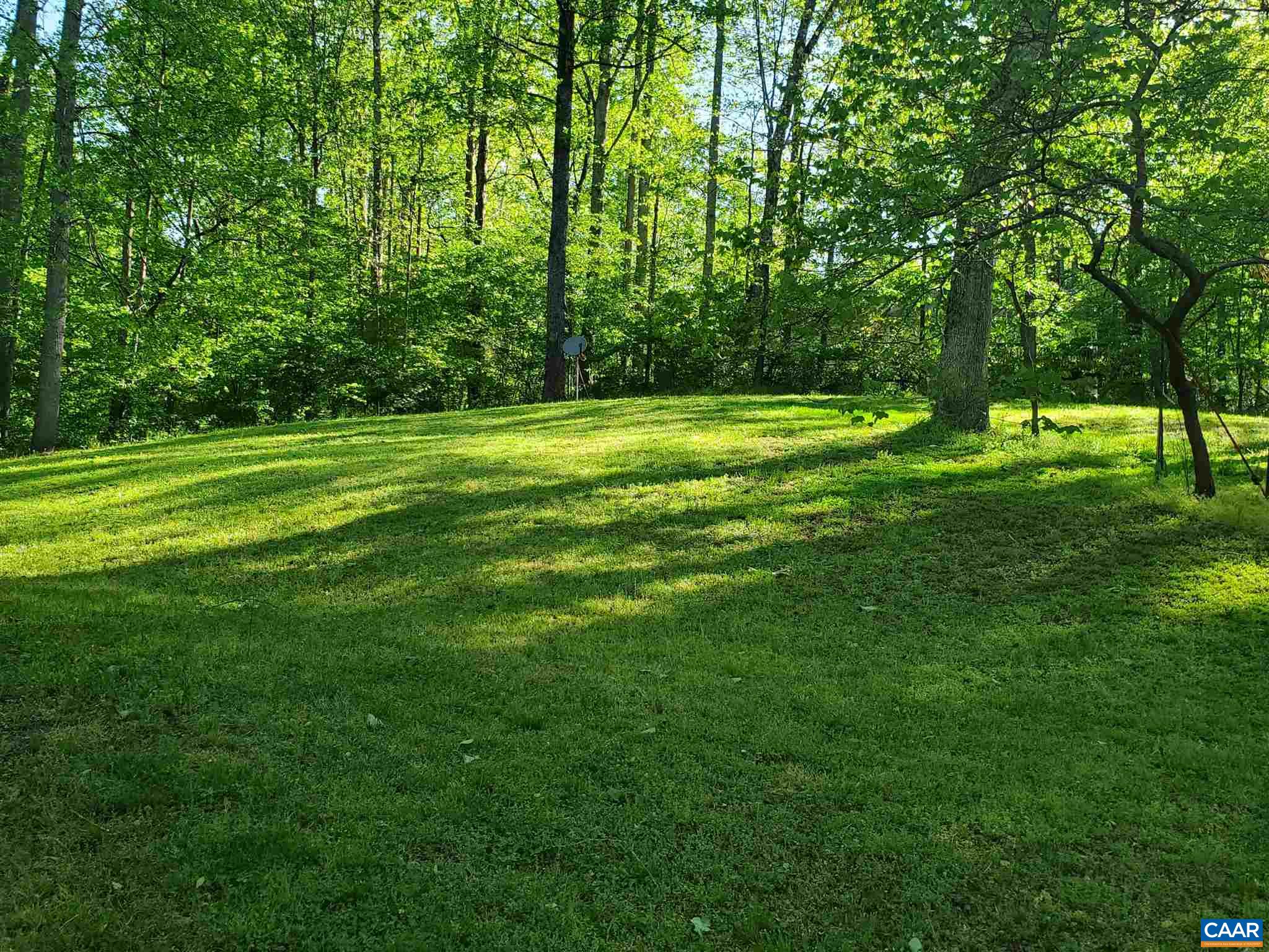 583 Jonquil Road Ruckersville, VA 22968 - Photo 3 of 14 a view of a park with trees in the background