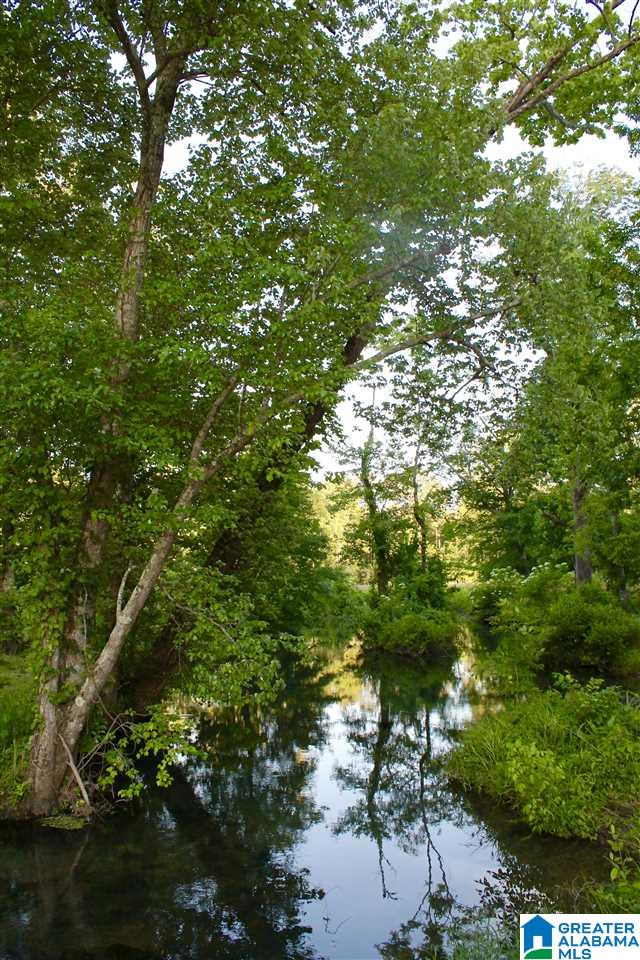 153 Ranch Road Jacksonville, AL 36265 - Photo 27 of 28