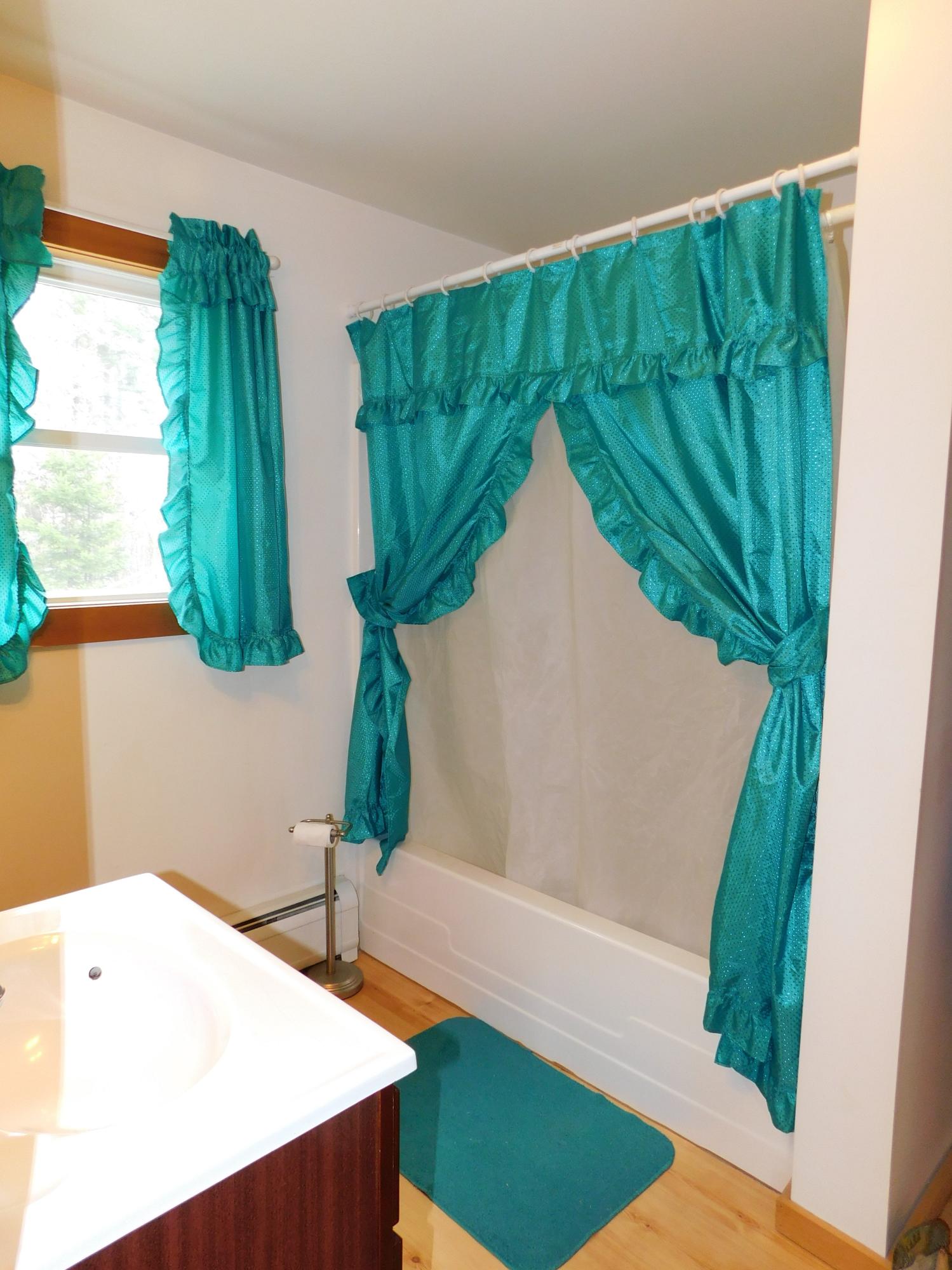 53 Lower Shirley Corner Road Shirley Mills, ME 04485 - Photo 13 of 32 DSCN3670