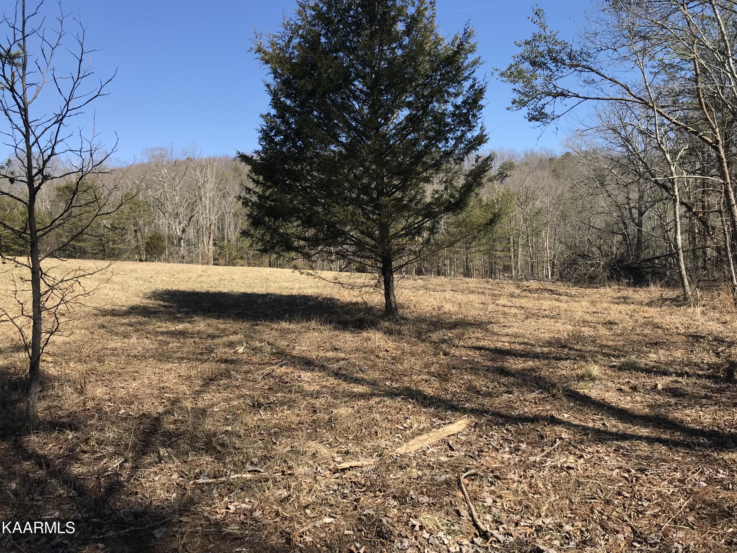 Sabo Road Grandview, TN 37337 - Photo 1 of 6 IMG_1607