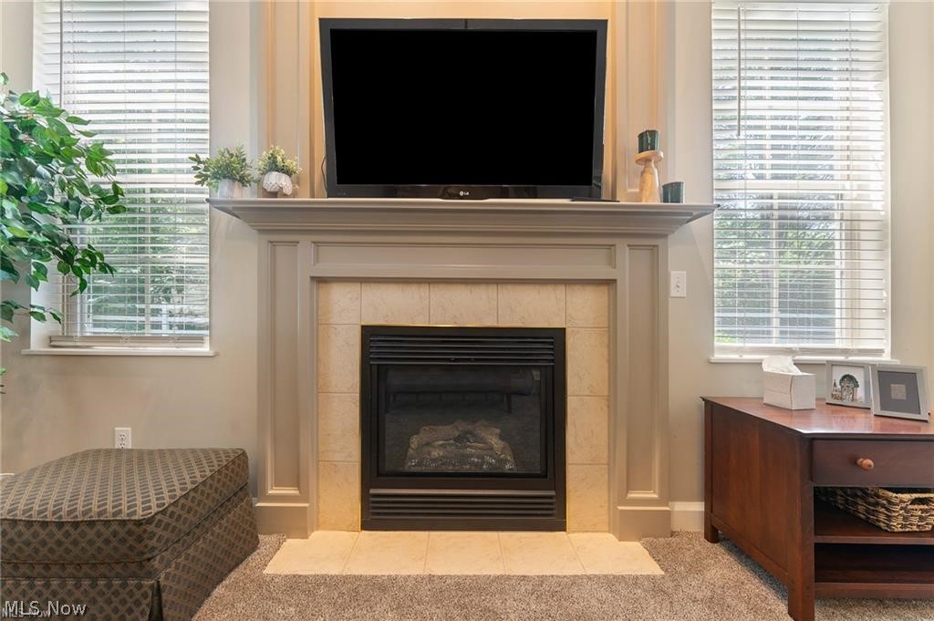 9264 Sharrott Road, Unit 1604 Youngstown, OH 44514 - Photo 9 of 29