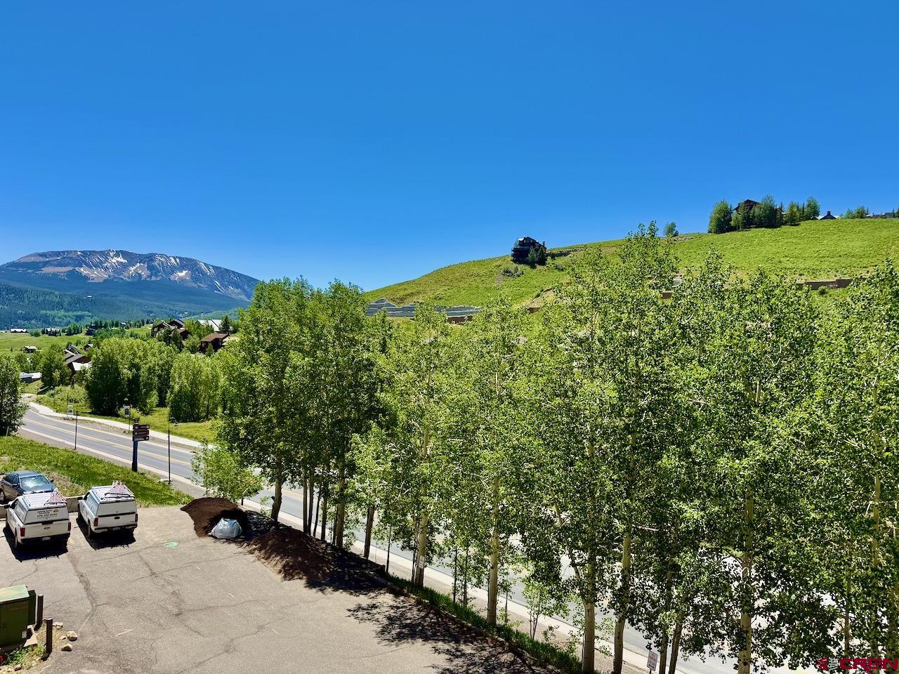 11 Snowmass Road, Unit 337 Crested Butte, CO 81225 - Photo 20 of 35 a view of a garden with a car park
