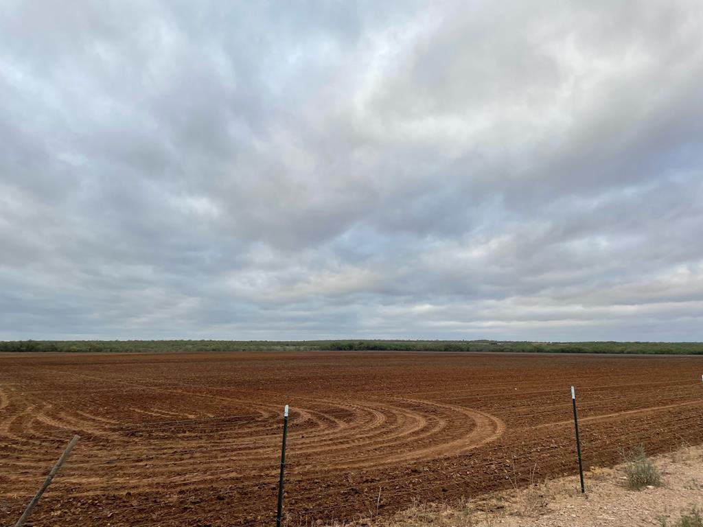 2347 County Road Ballinger, TX 76821 - Photo 1 of 1 Main View