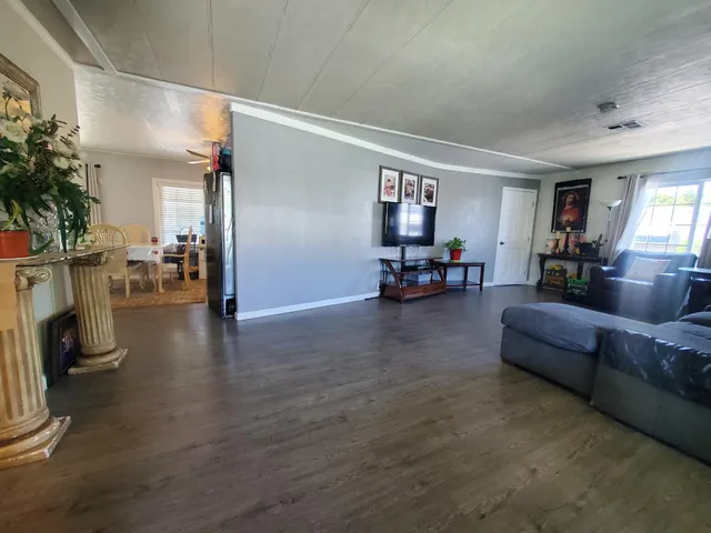 a living room with furniture and a potted plant